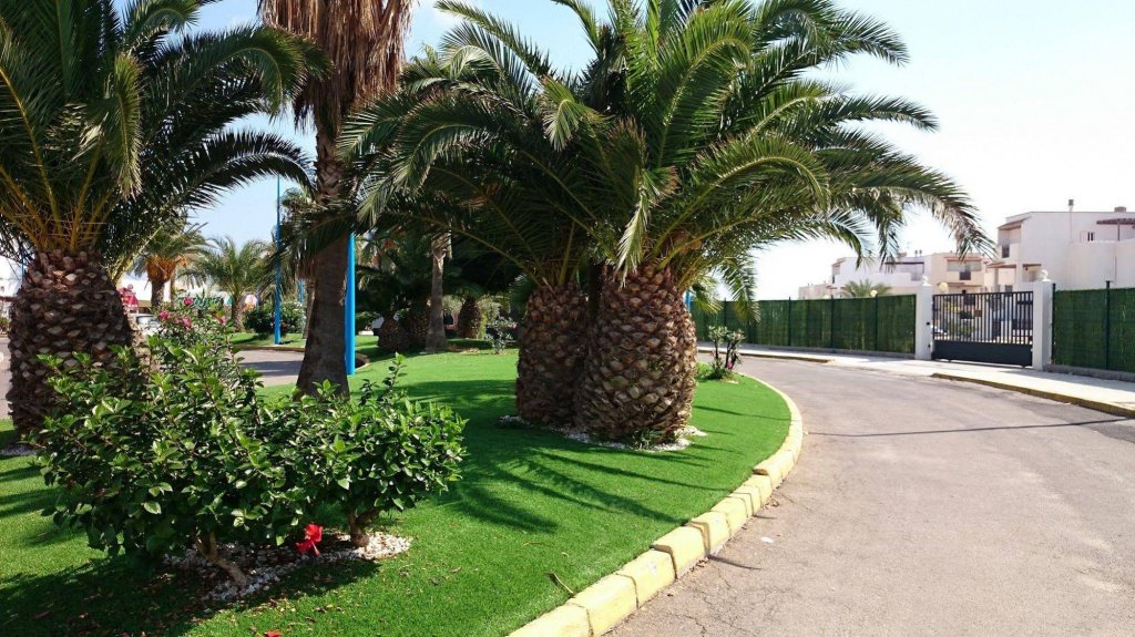 Фото Apartamentos Natura World