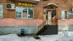 Bear Corner Beer (Bolshaya Oktyabrskaya Street, 86) ، متجر بيع البيرة