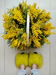 Fleur de Lis (Italyanskaya Street, 15), flower shop