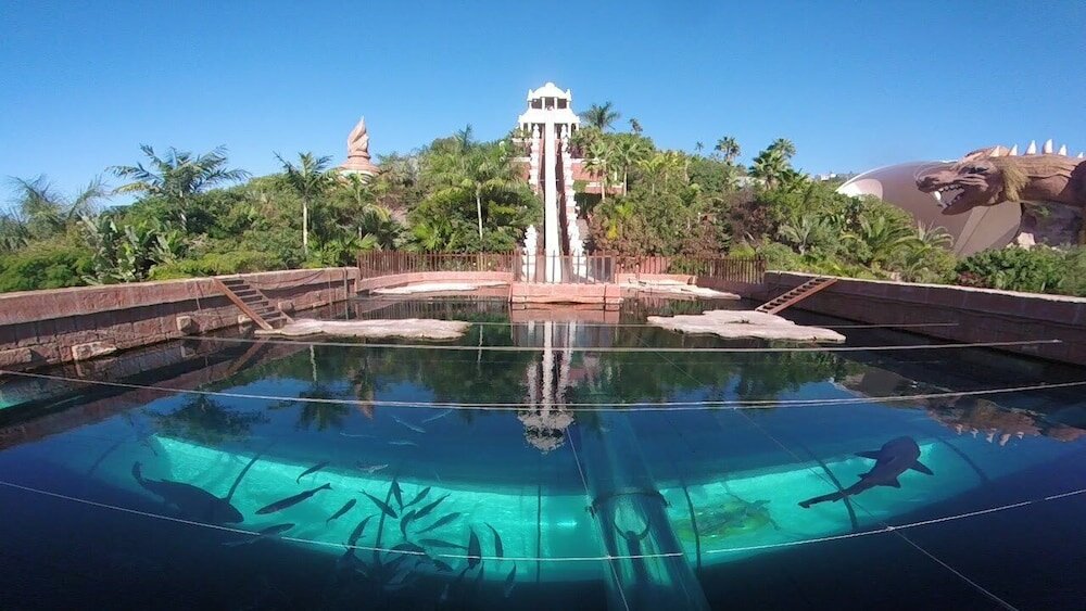 Фото Royal Sun Resort