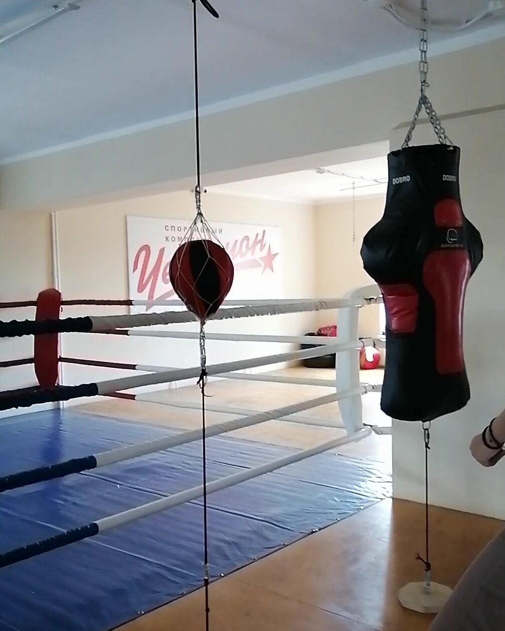 Фото Чемпион