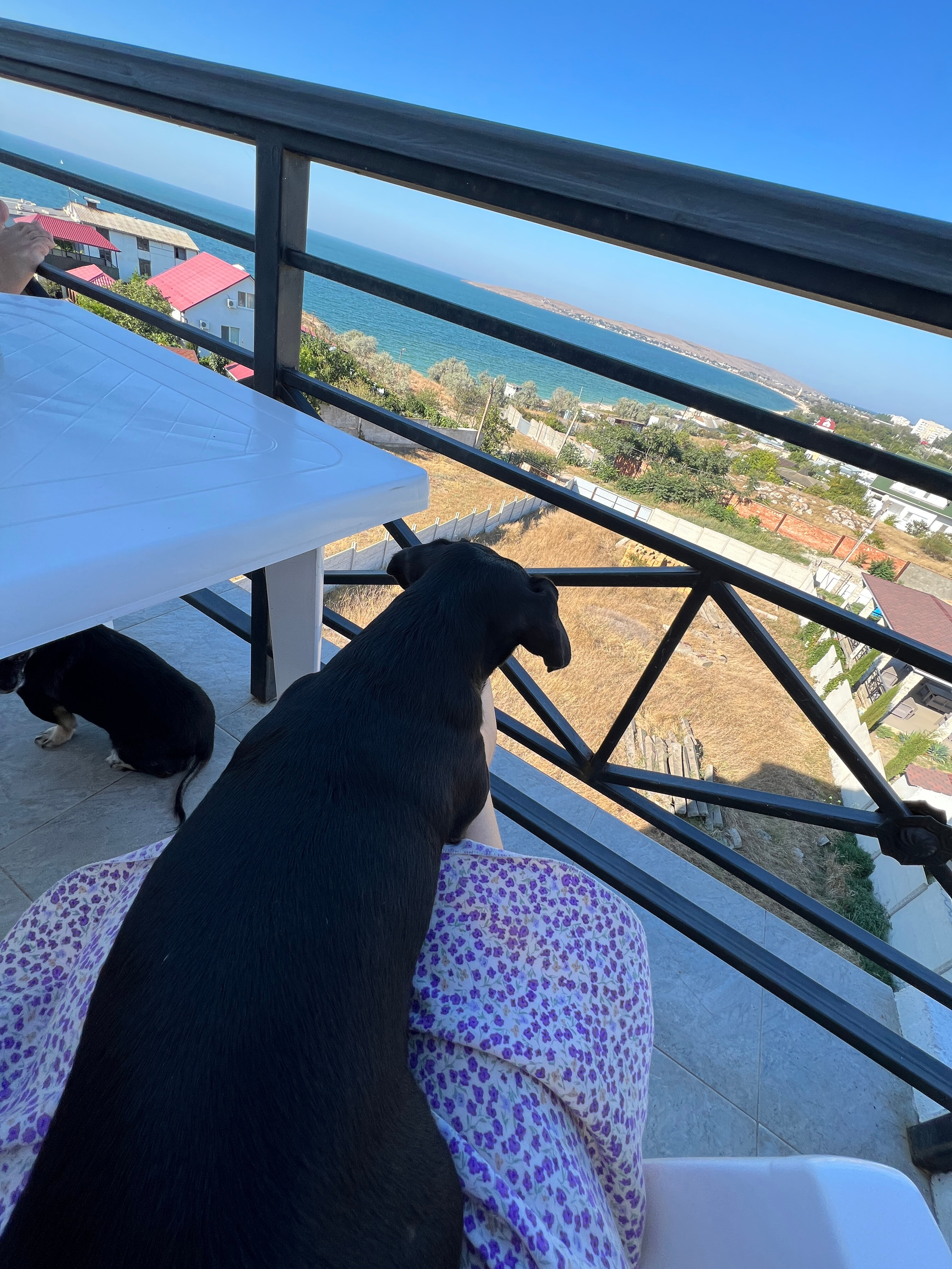 Фото Калипсо