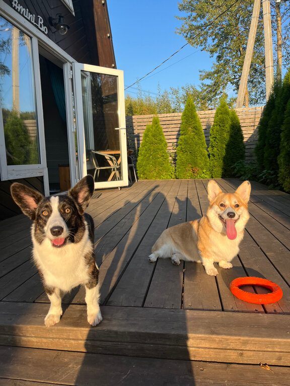 Фото Mini Bo House