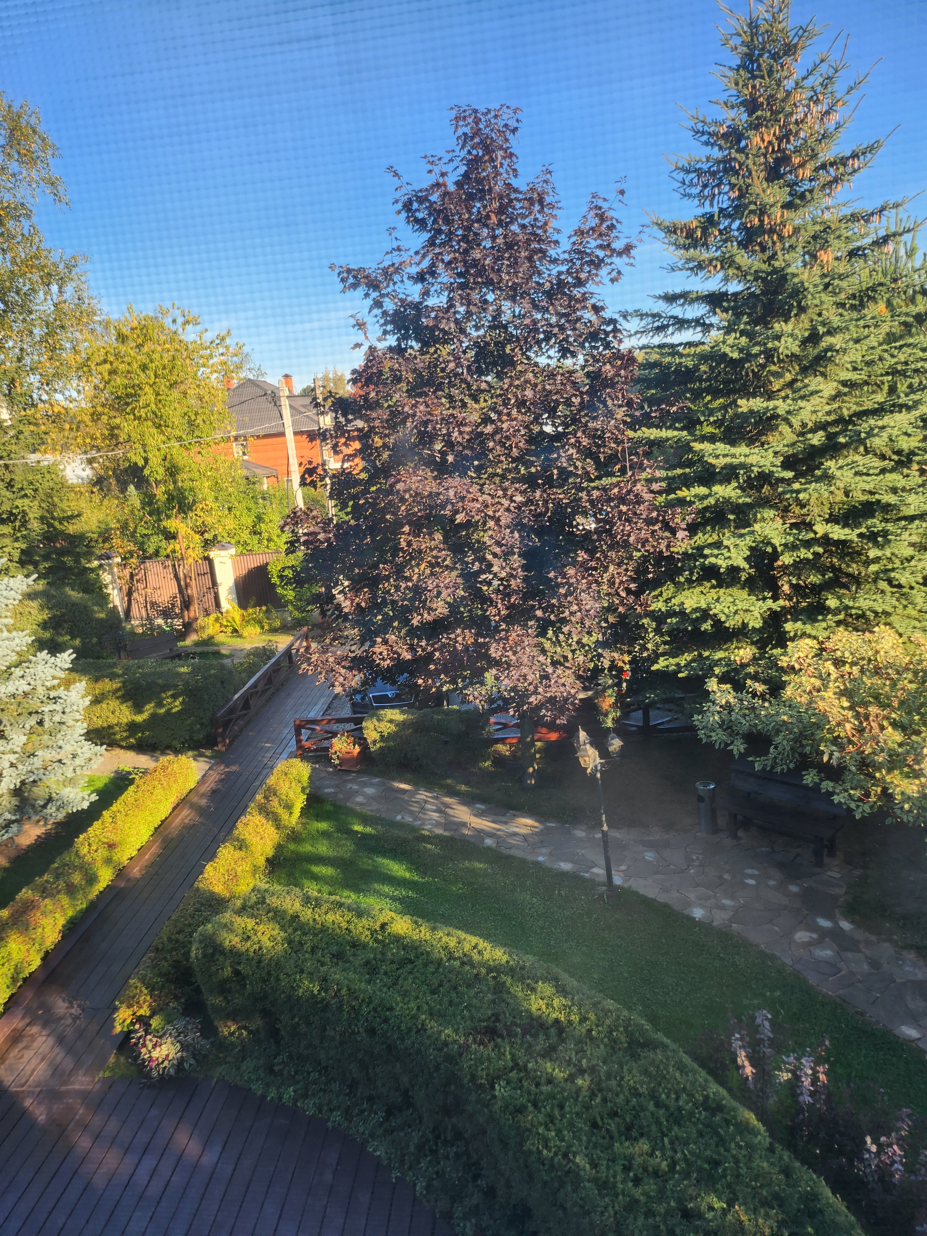 Фото Атланта Шереметьево