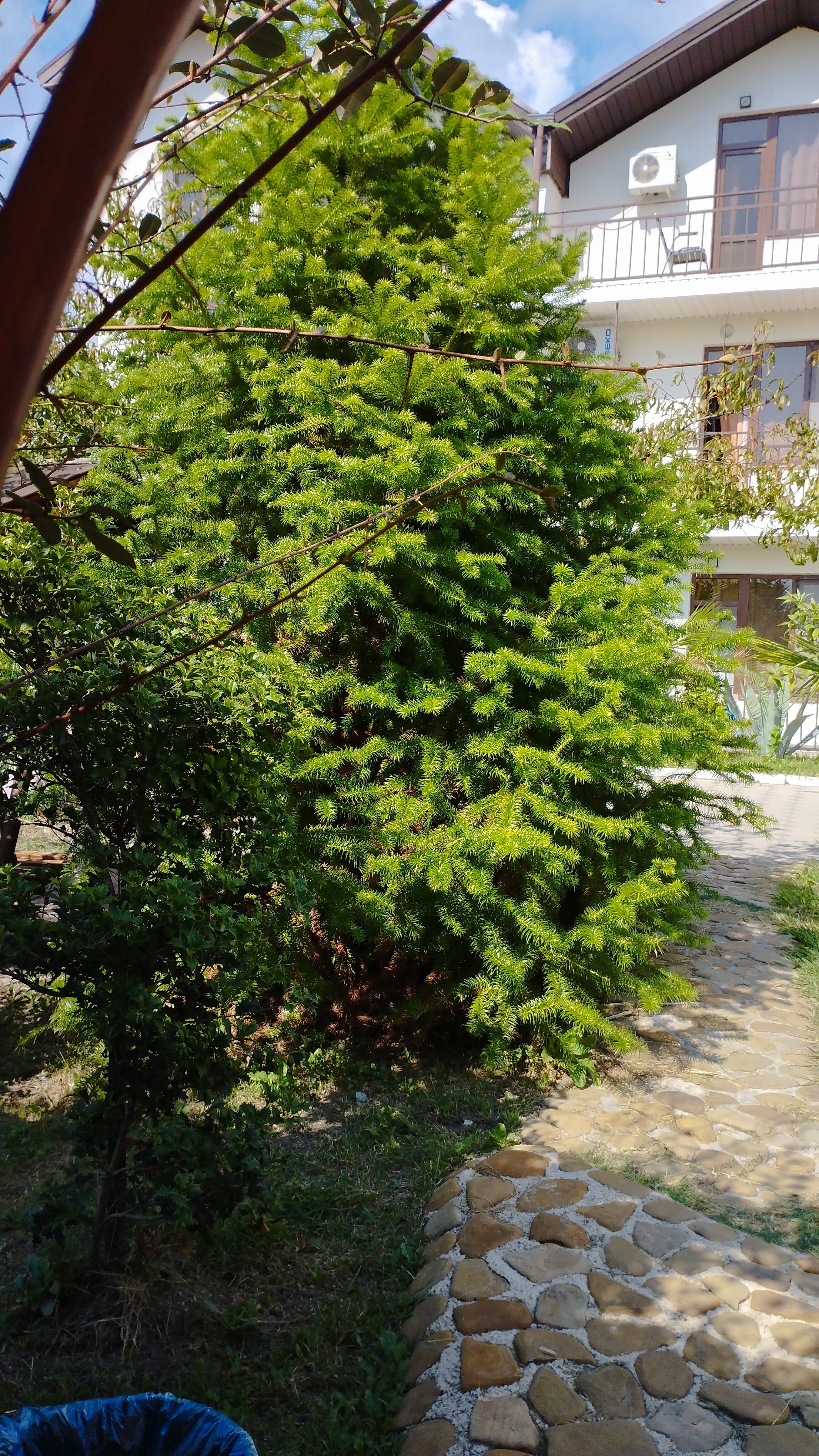 Фото Резиденция Апсны