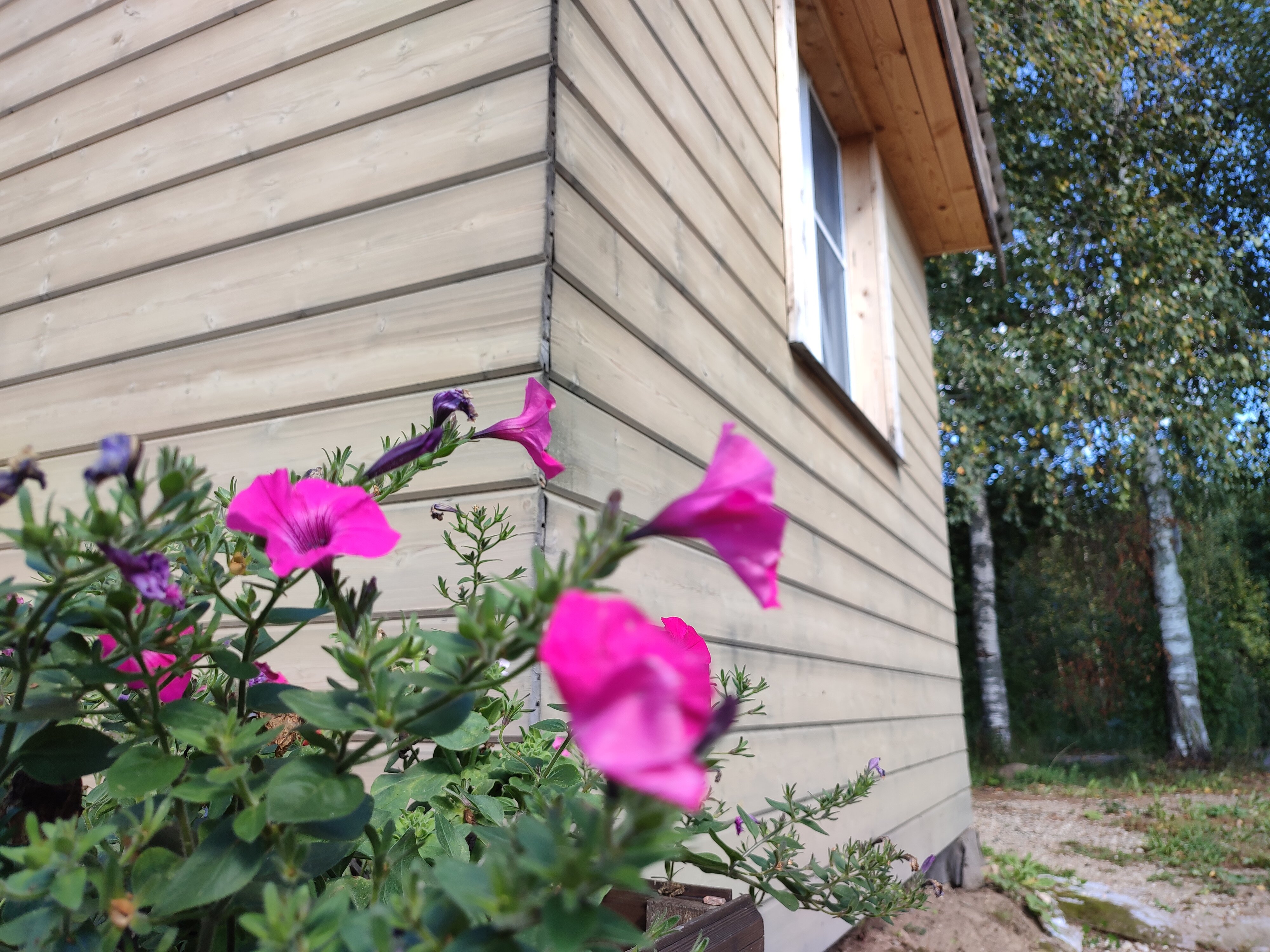 Фото Тихий уголок