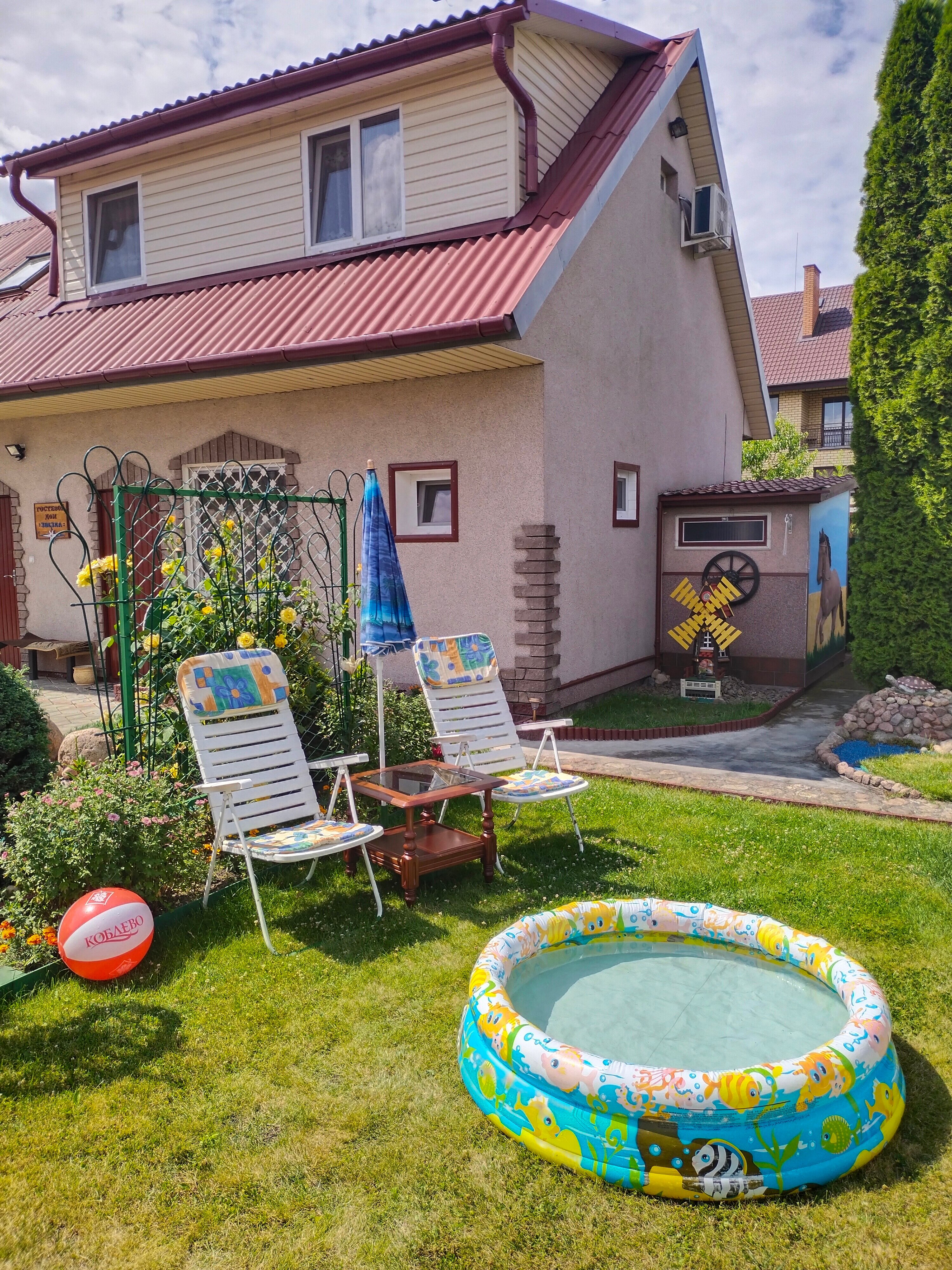 Фото Звезда