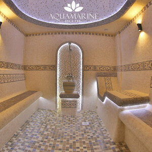 Бес күндік жұмыртқаны ауыстырғаннан кейін жүктілік сынағы