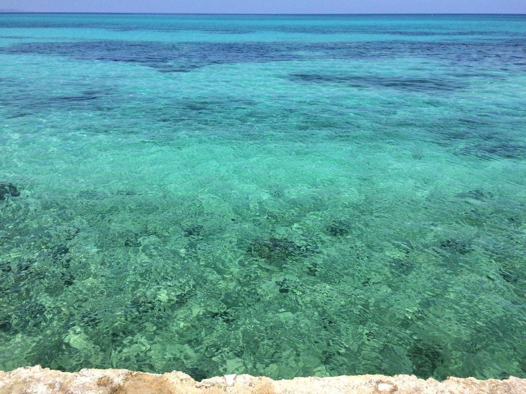 Фото Cariblue Beach Hotel and Scuba Diving Resort