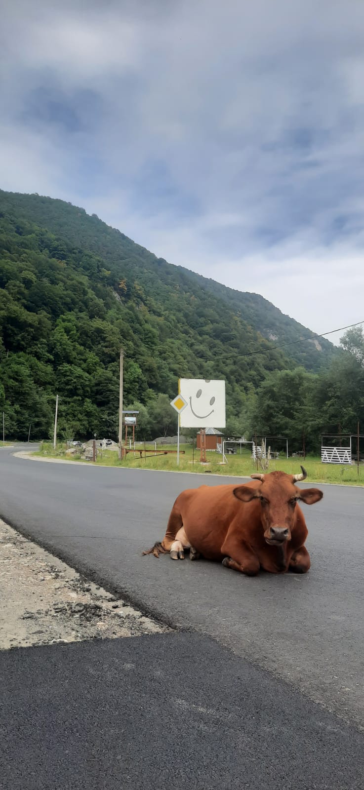 Фото ПроГоры