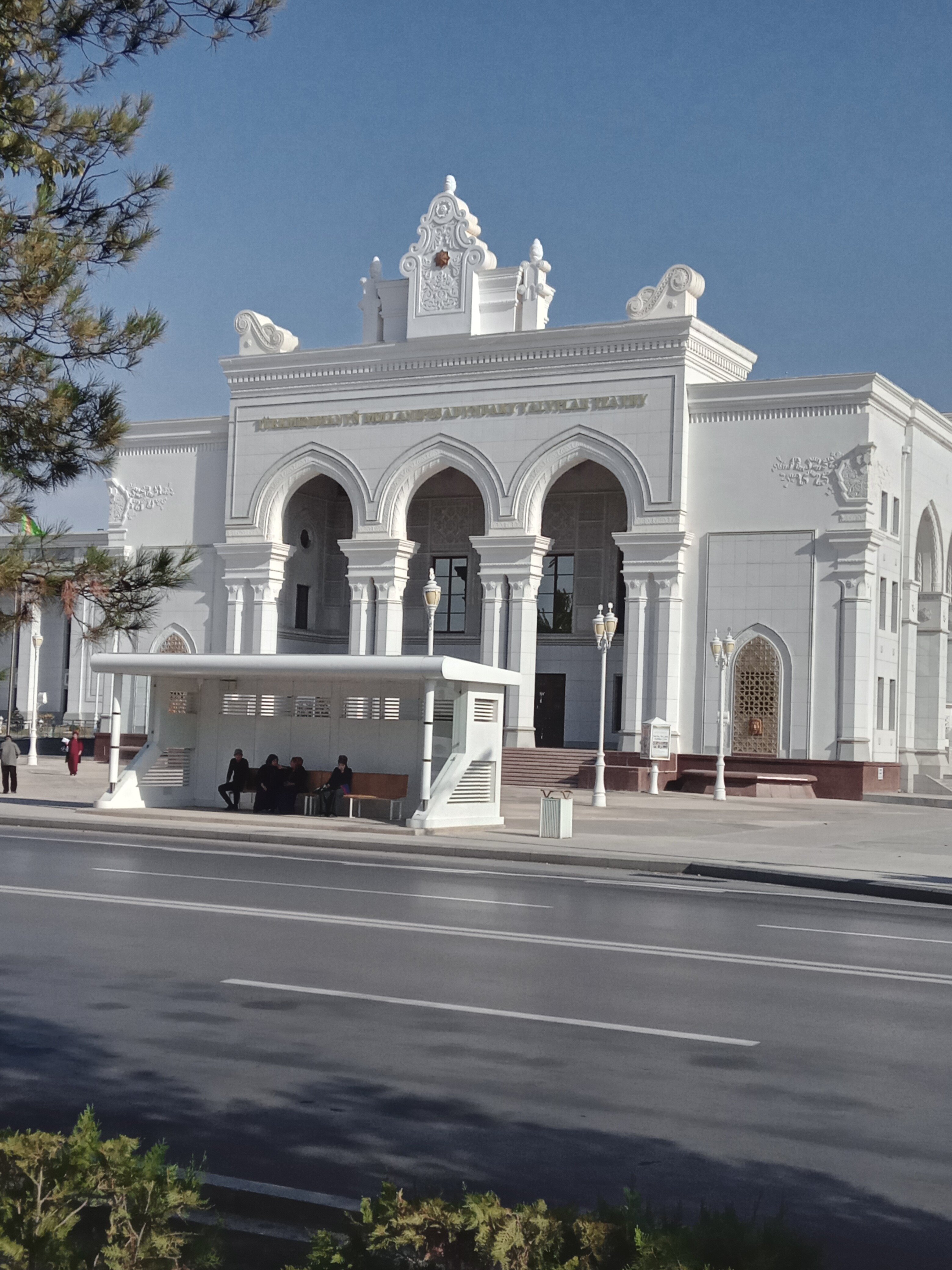 Шәуеттегі сары желе тәрізді бөлініс