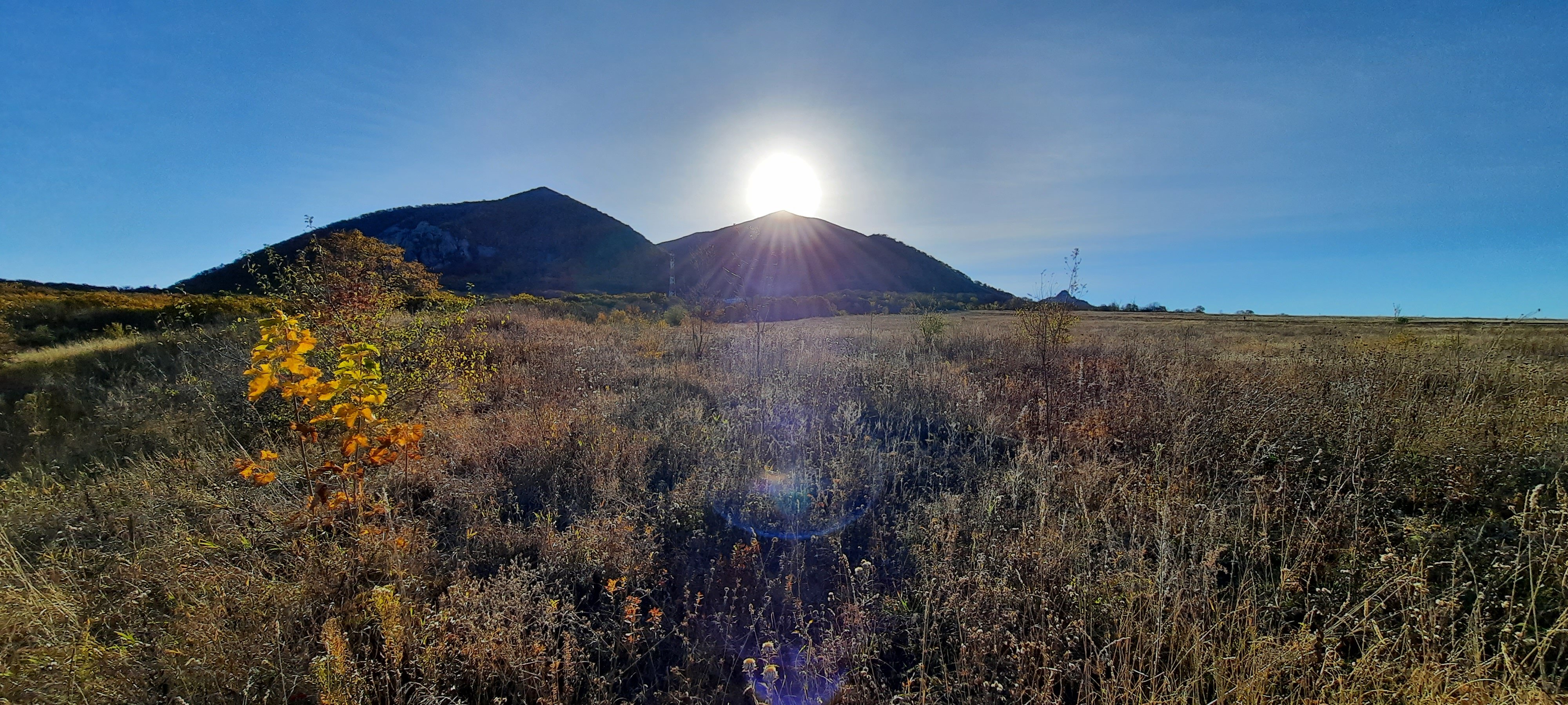 Фото Арарат