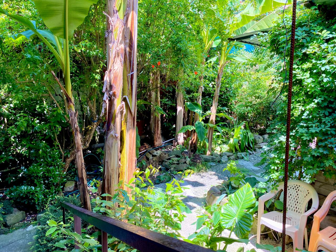 Фото Виктори