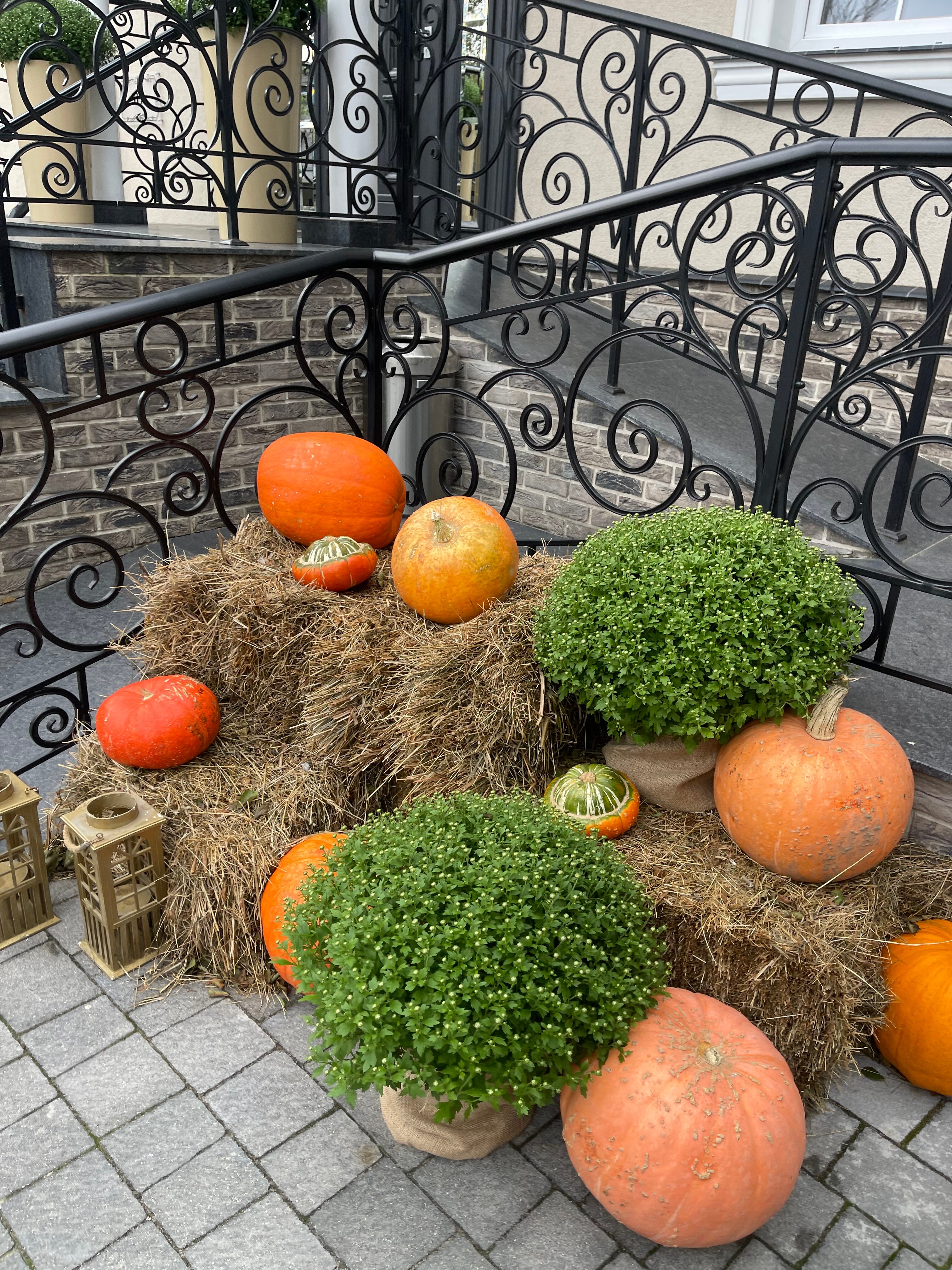 Фото Парк-отель Маякоvsкий