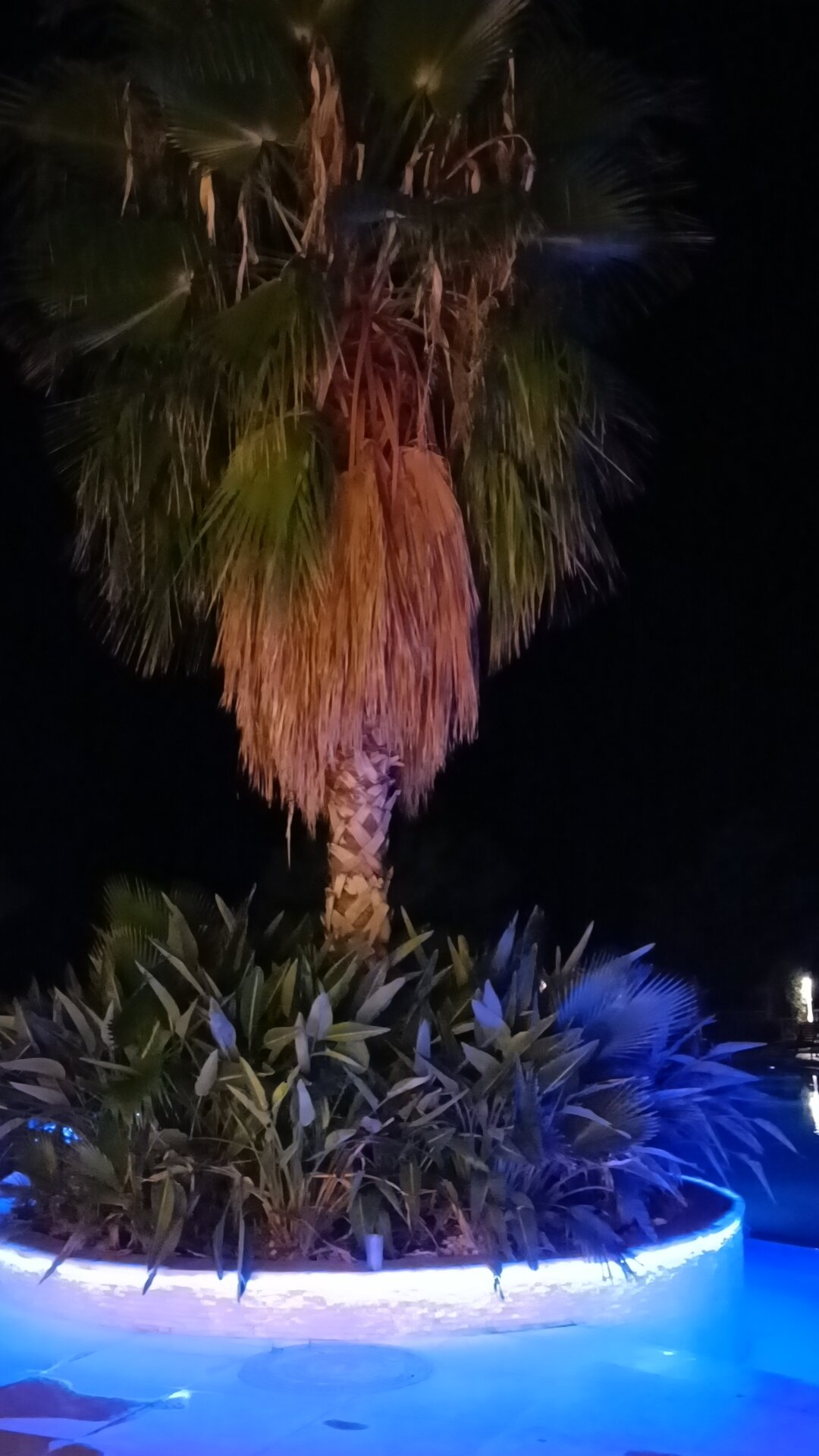 Фото Garcia Resort & Spa