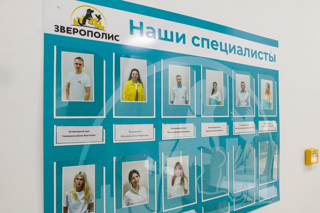 Зверополис, ветеринарная клиника, пер. Энергетиков, 2, посёлок ГЭС, Набережные Ч
