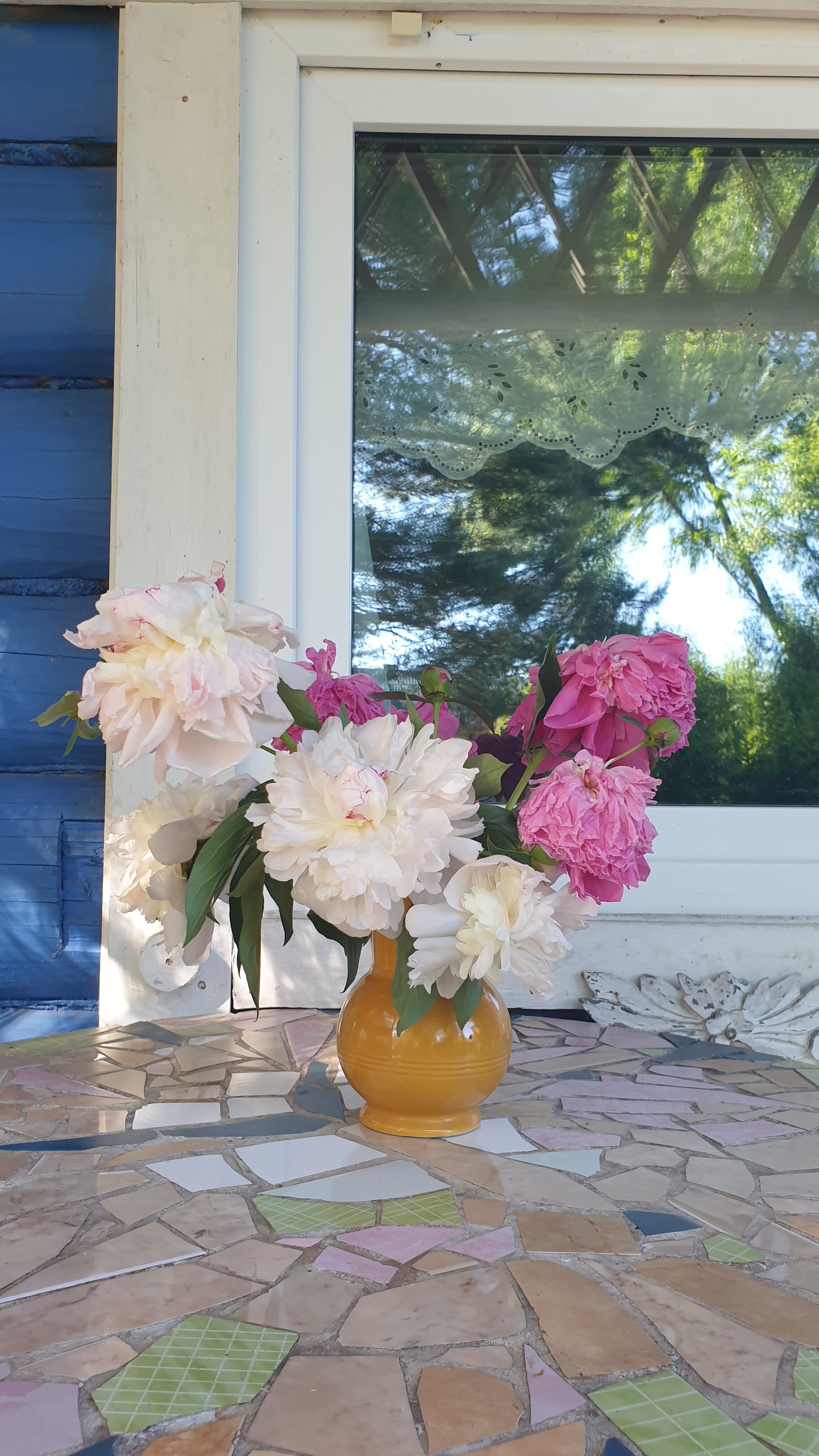 Фото Лавандовый сад