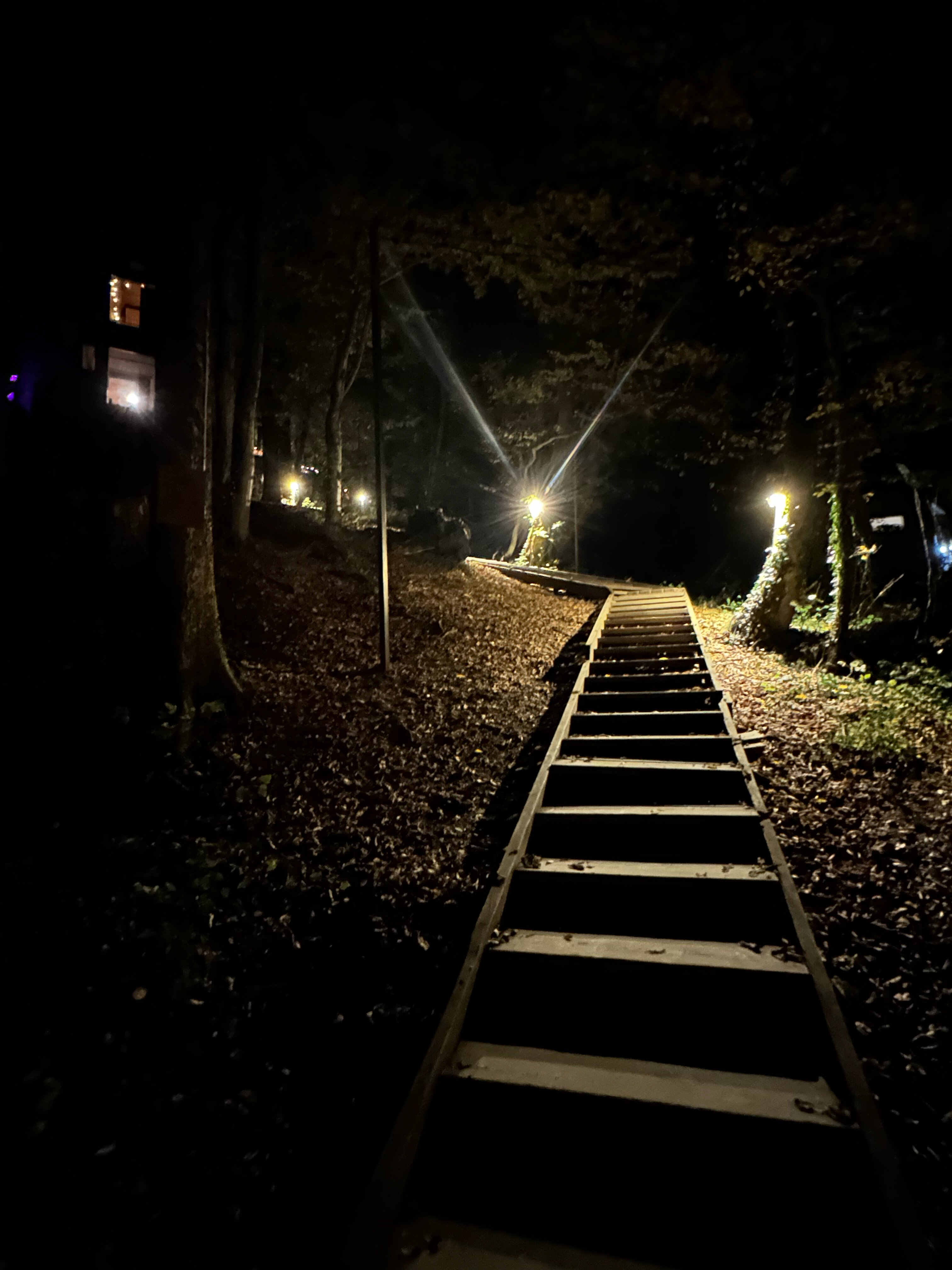 Фото Дзен Поляна