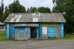 Смешанные товары (д. Николаевка, ул. Зелёный Дол, 49Б), магазин смешанных товаров в Республике Мордовия