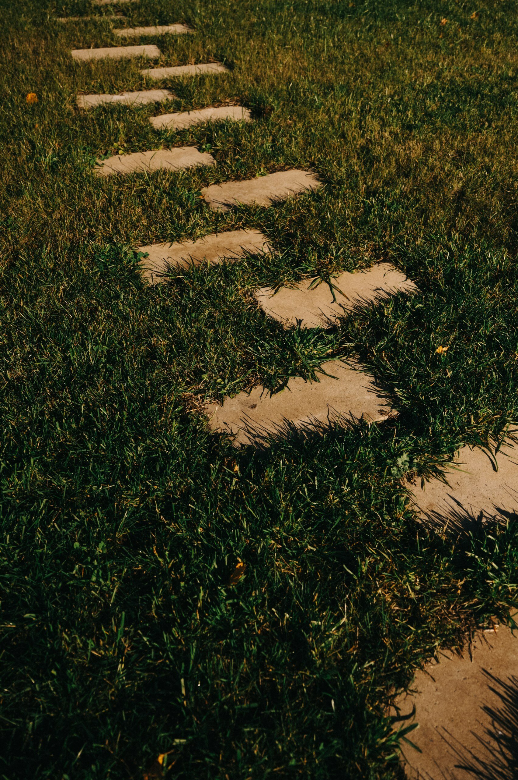 Фото Спектр