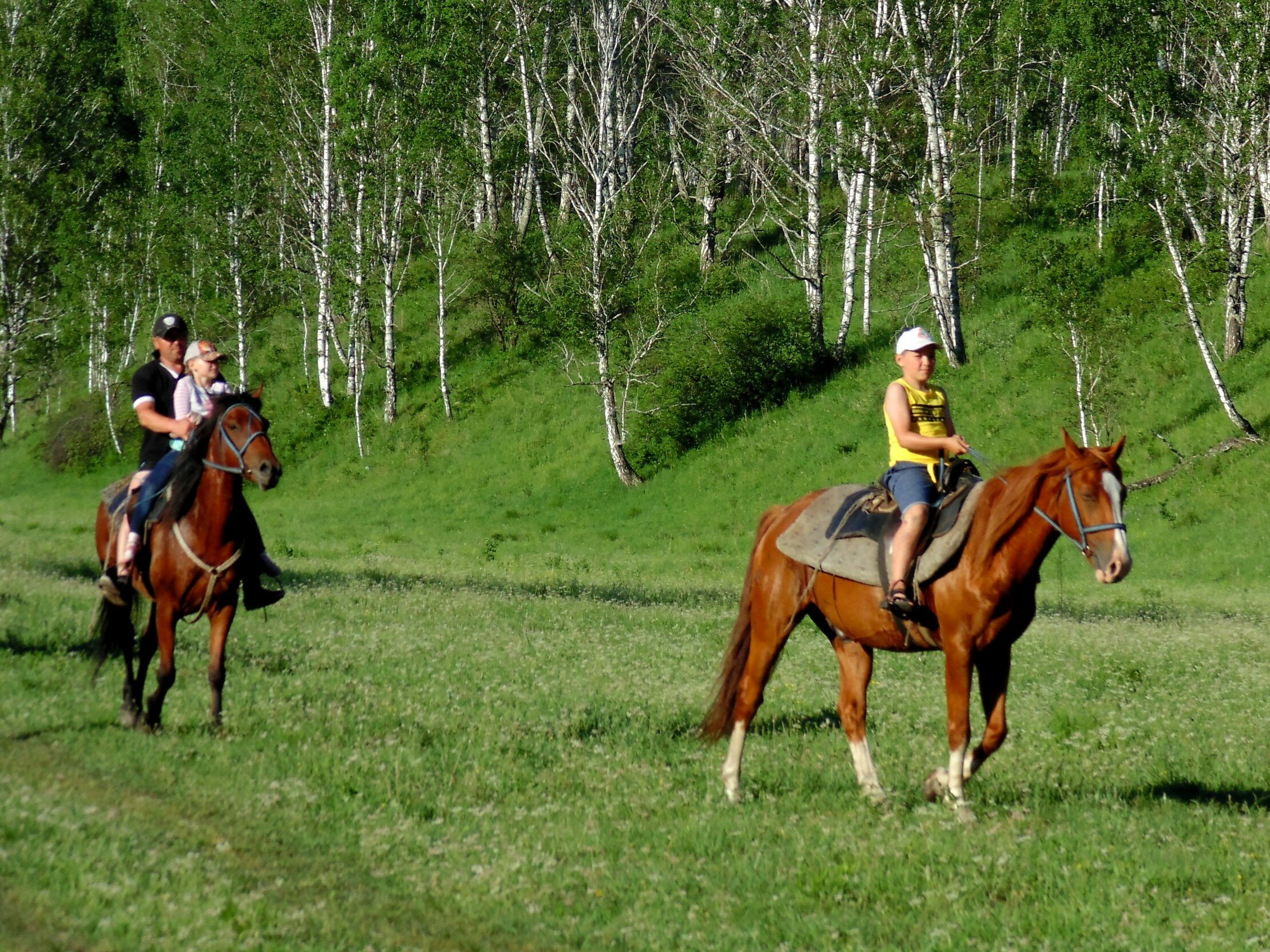 Фото Чедоев привал