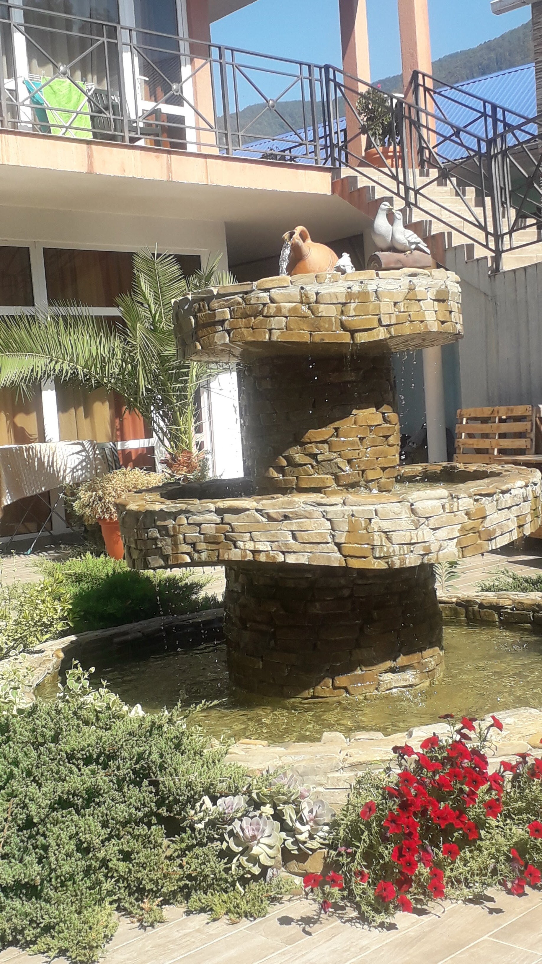 Фото Династия