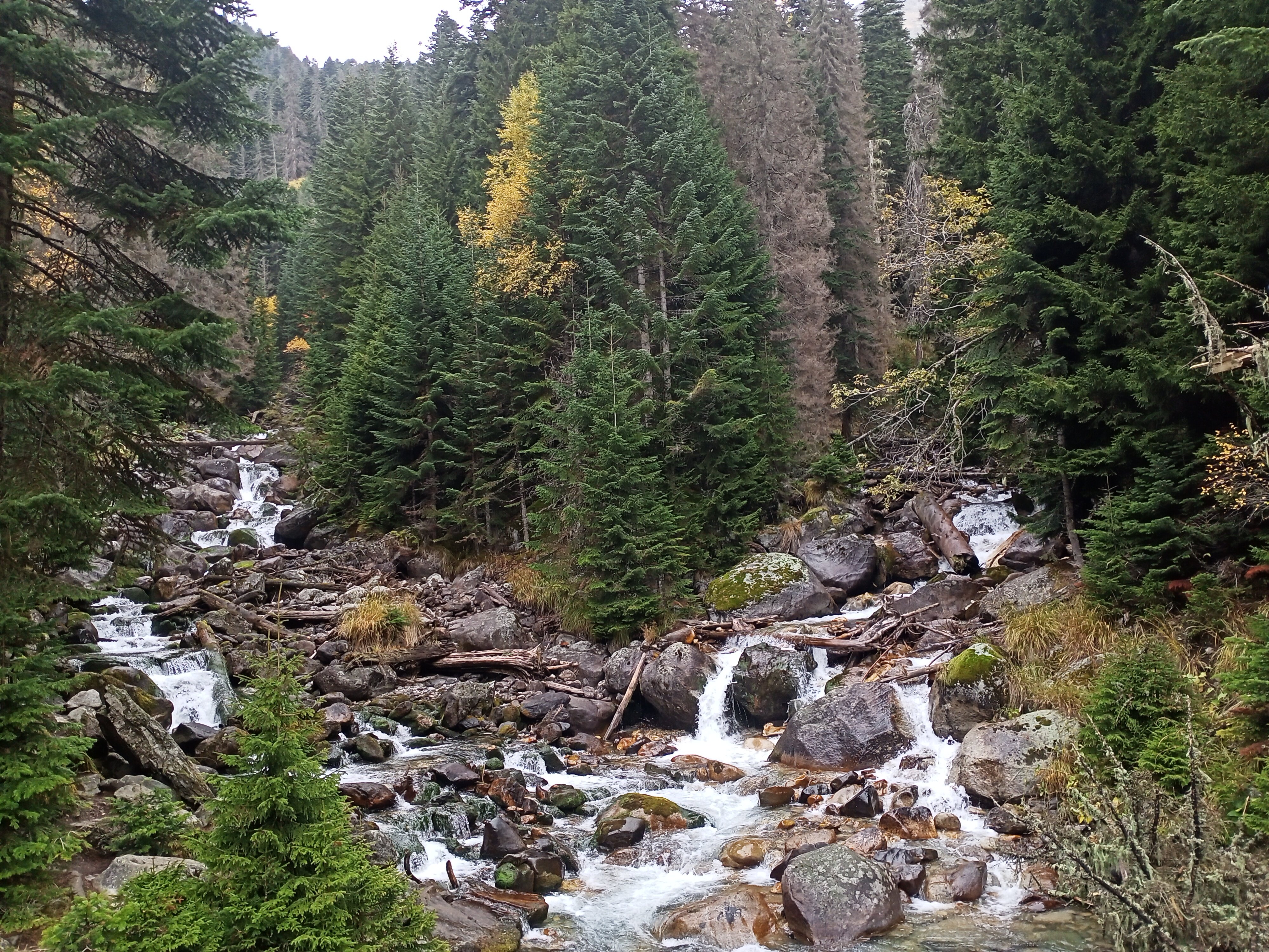 Фото Снежинка