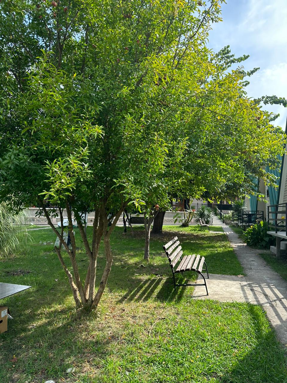 Фото Пансионат Кяласур