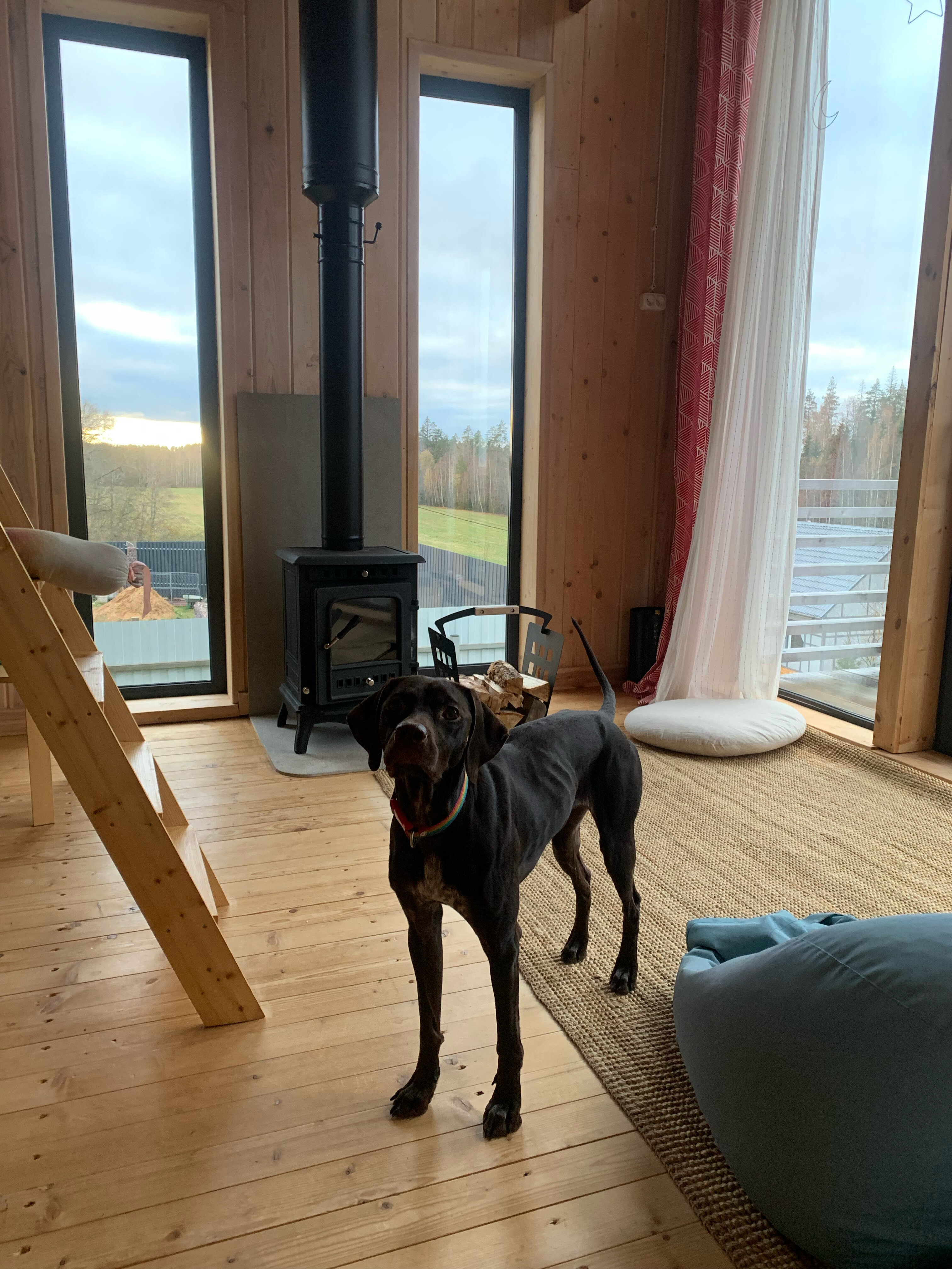 Фото Домик у Игоры