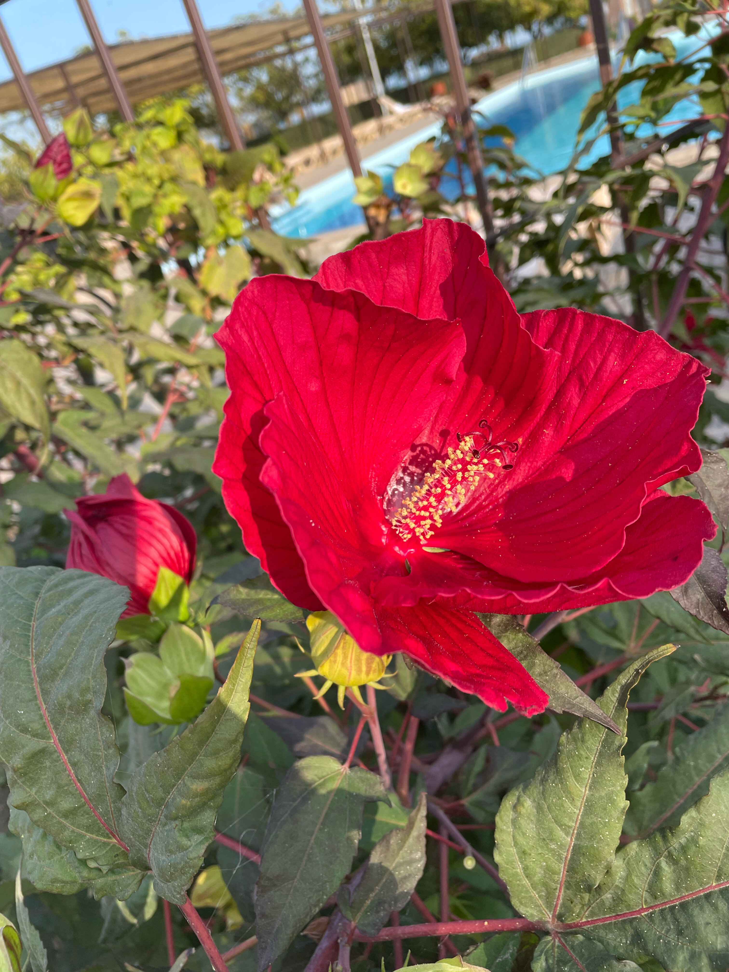 Фото Diamond Park Hotel