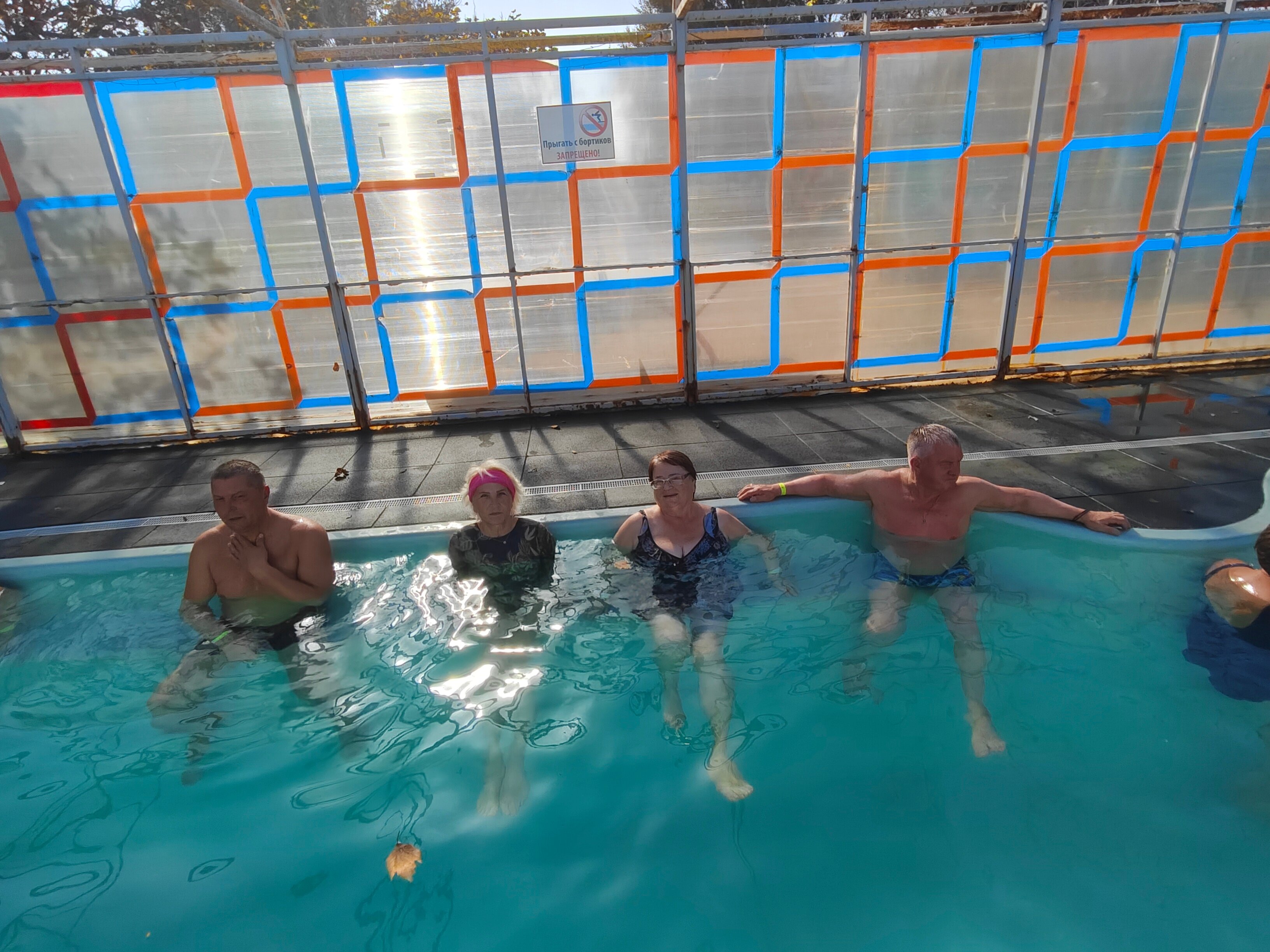 Фото Фламинго