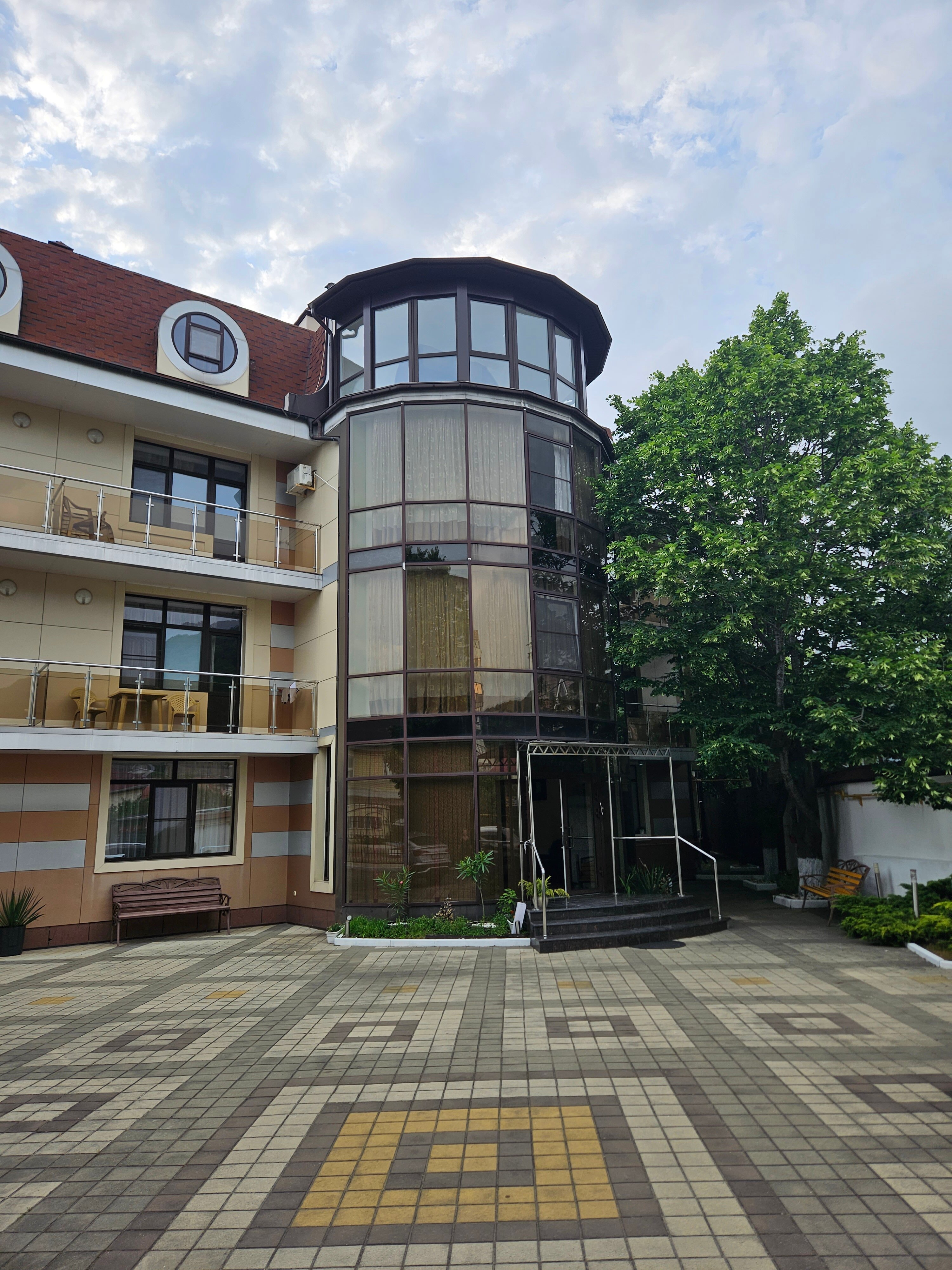 Фото Афалина