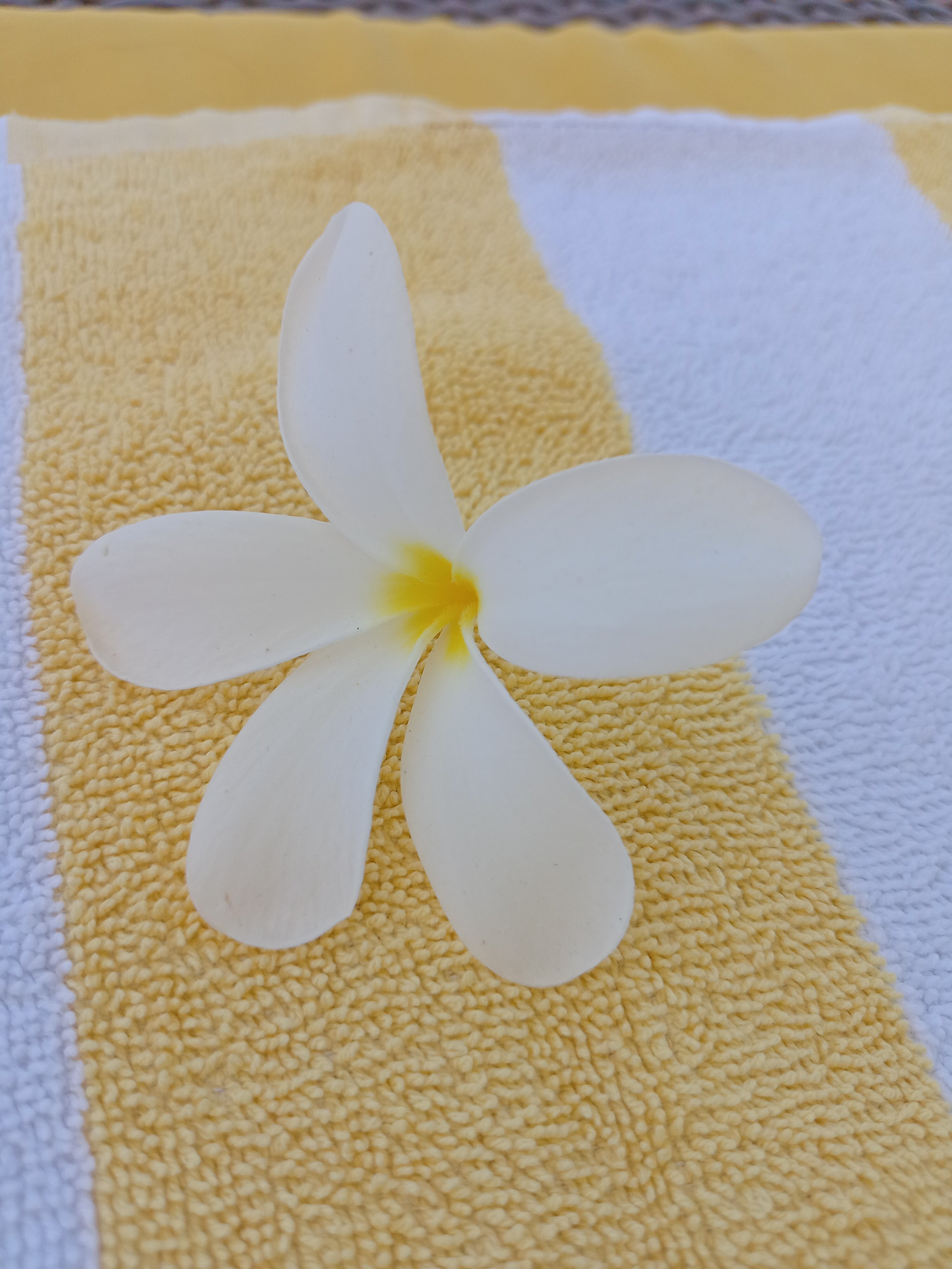 Фото Fairfield by Marriott Goa Benaulim