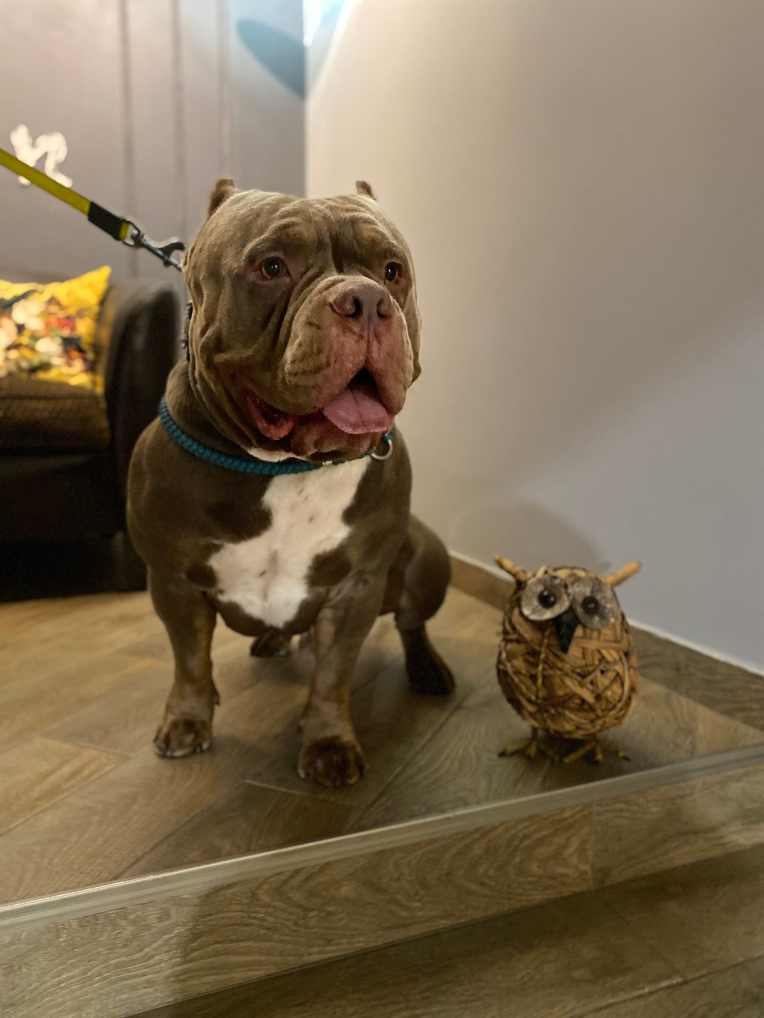 Фото Отель Сон