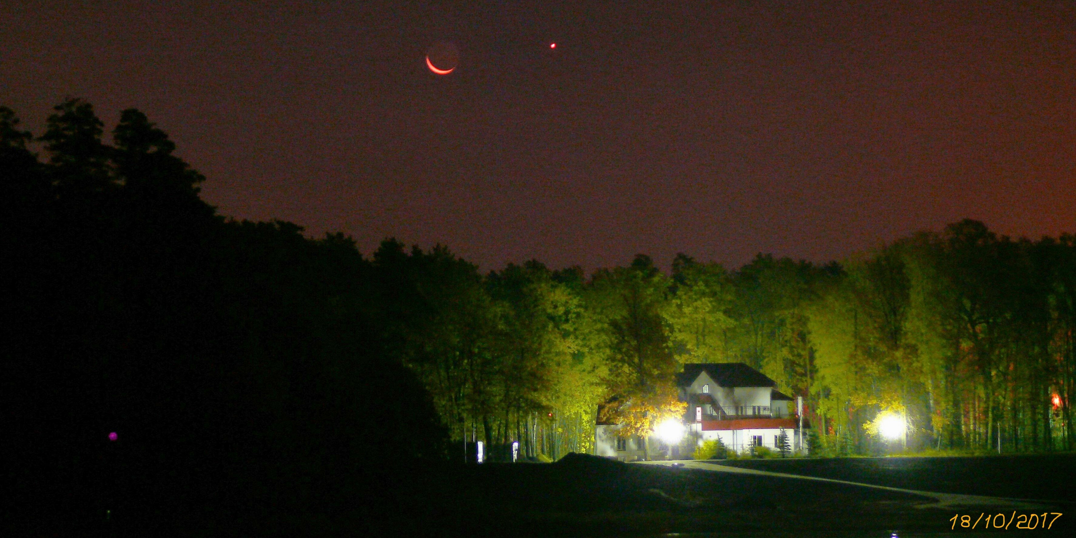 Фото Лесная