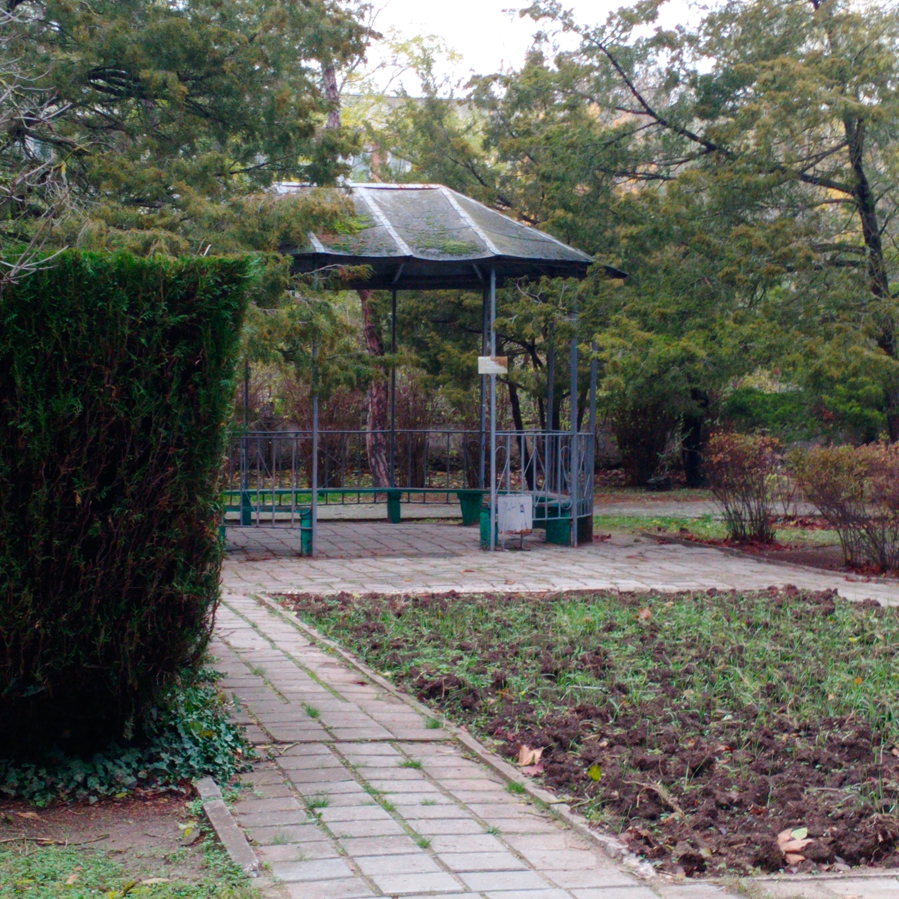 Фото Гагарин