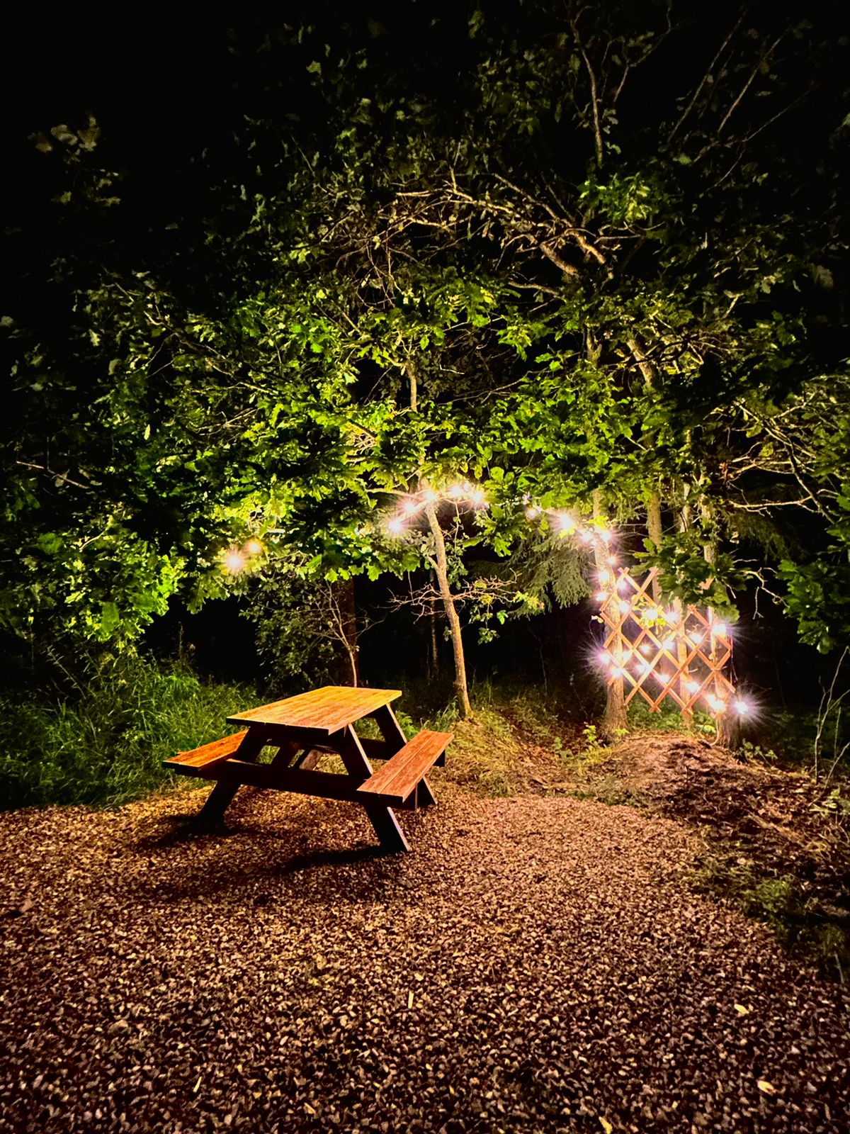 Фото Комьюнити Деревня