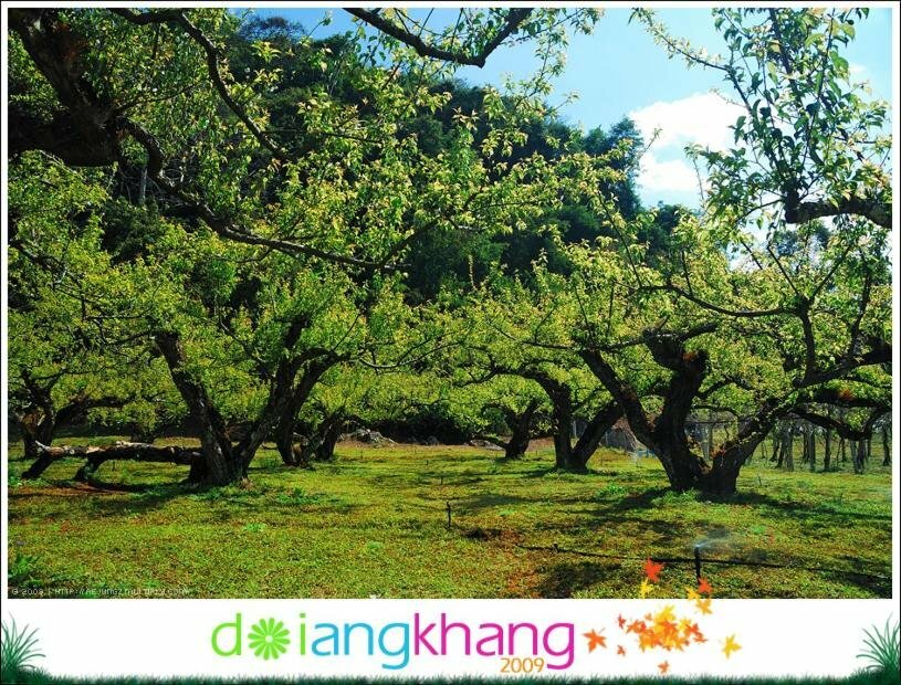 Фото Kasarin Court