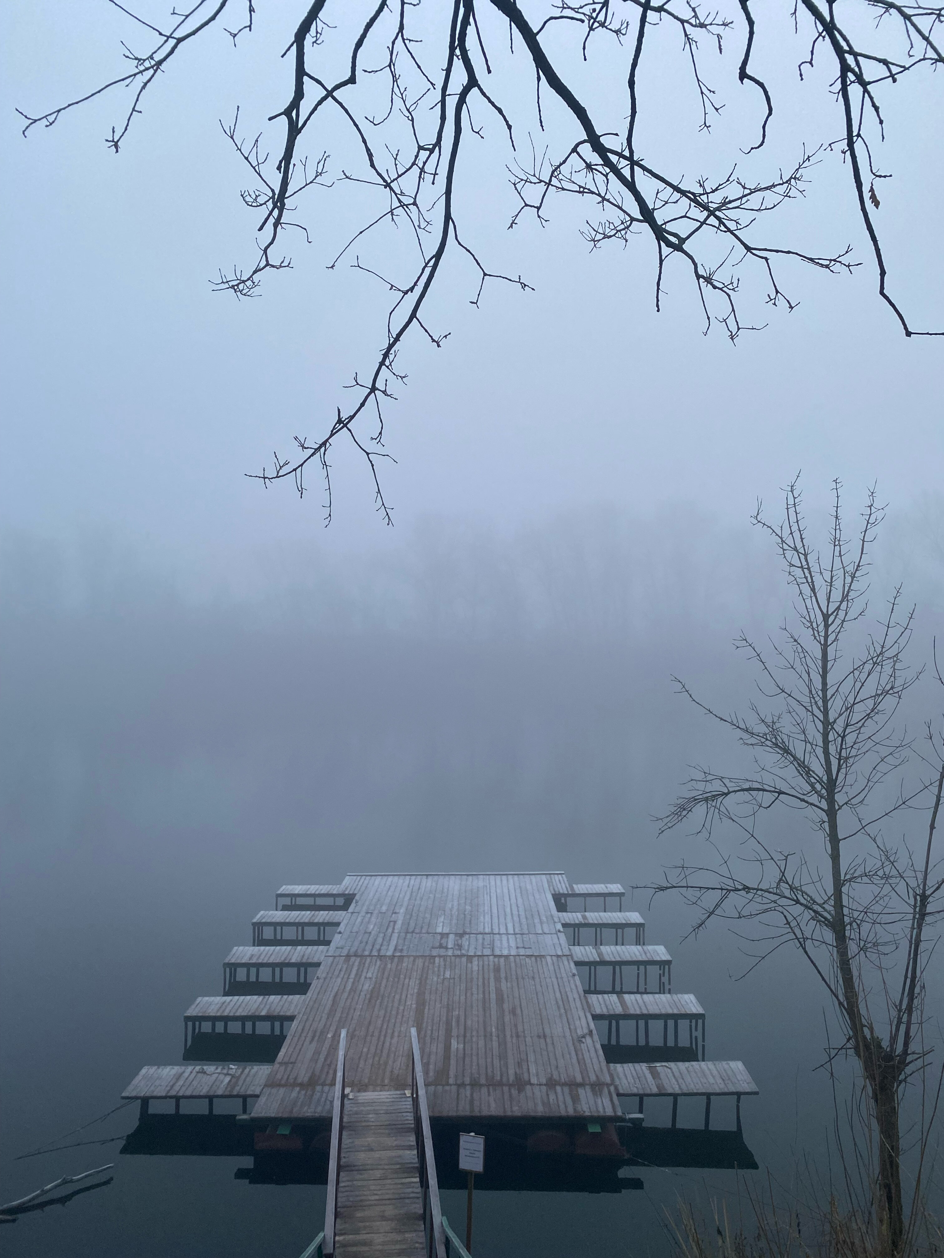 Фото Дубровский