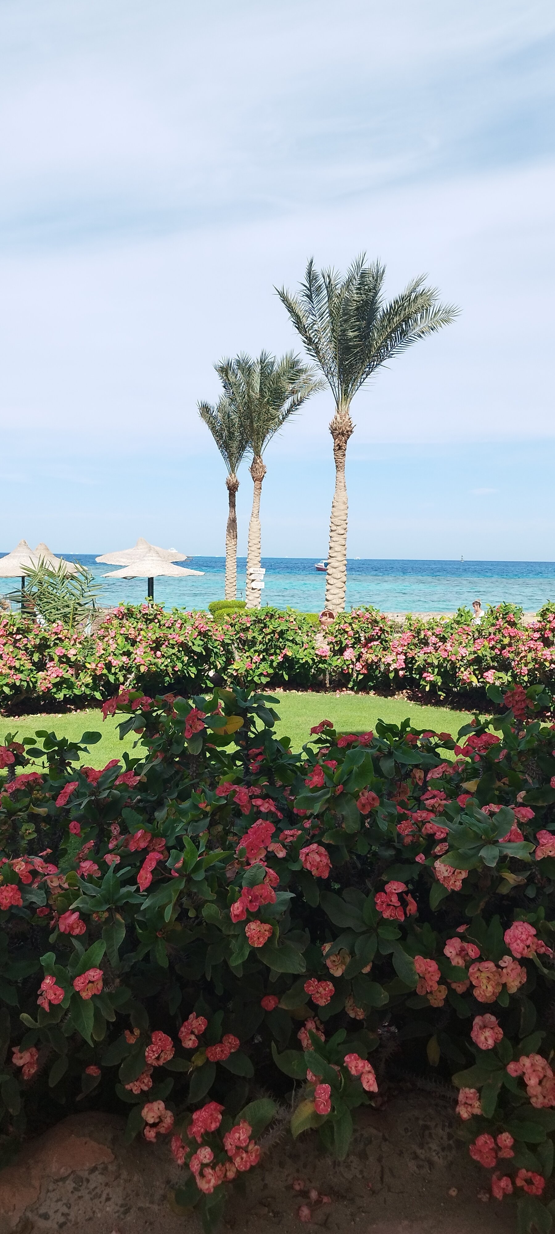 Фото Sunny Days Palma De Mirette