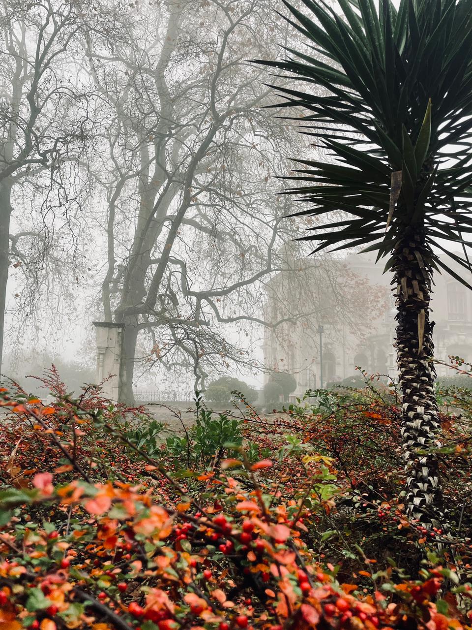 Фото Hofmarschall