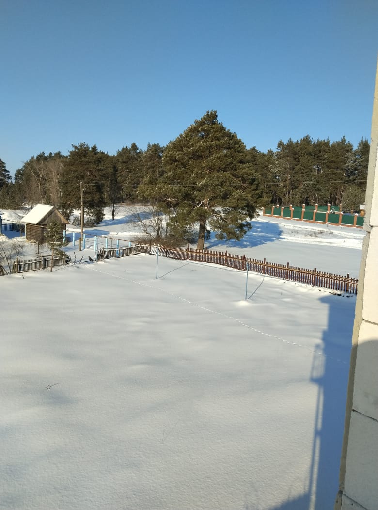 Фото Сосновая Стрит