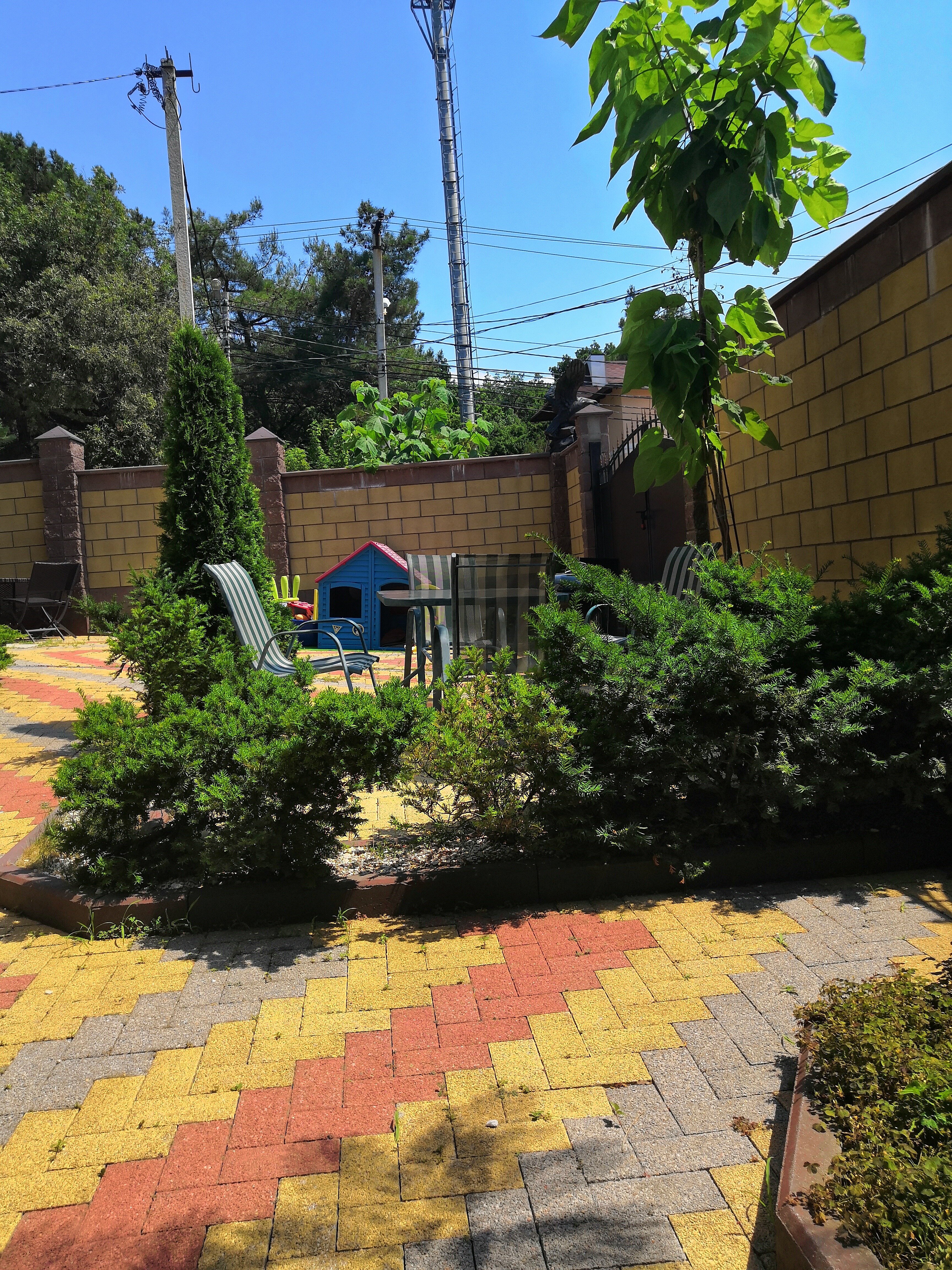 Фото Золотой Орел