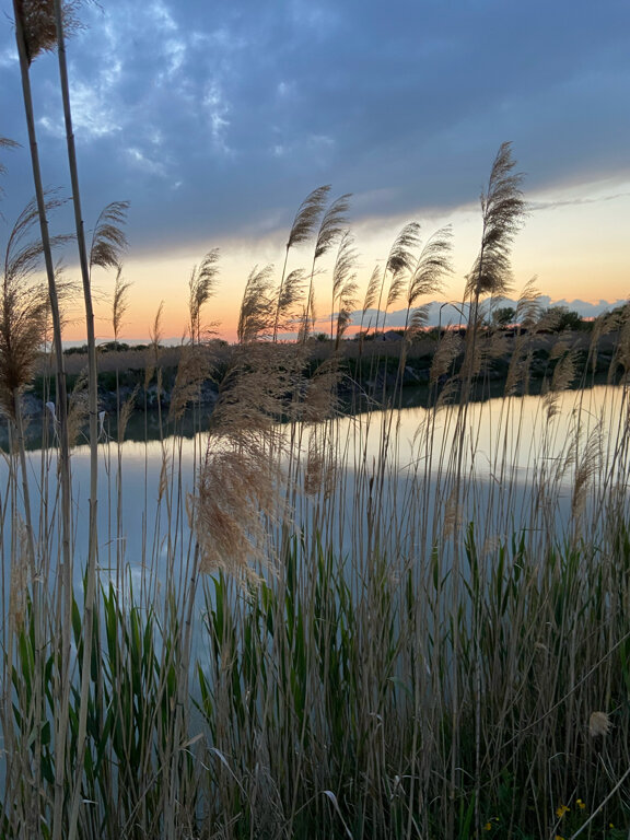 Фото Домики у Пруда