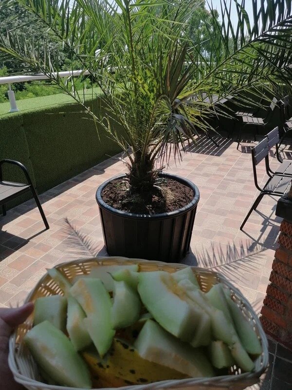 Фото Якорное Место