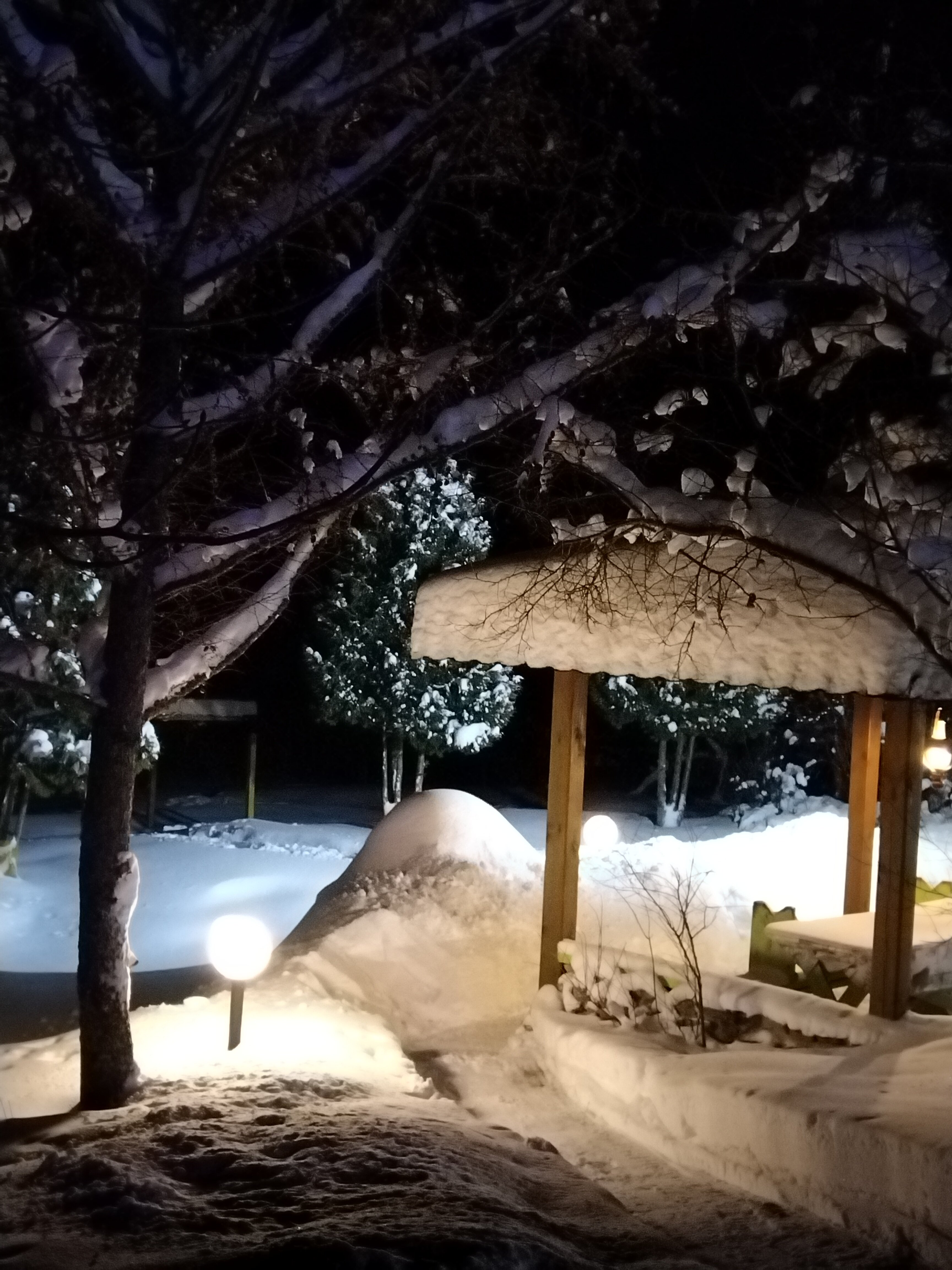 Фото Усадьба