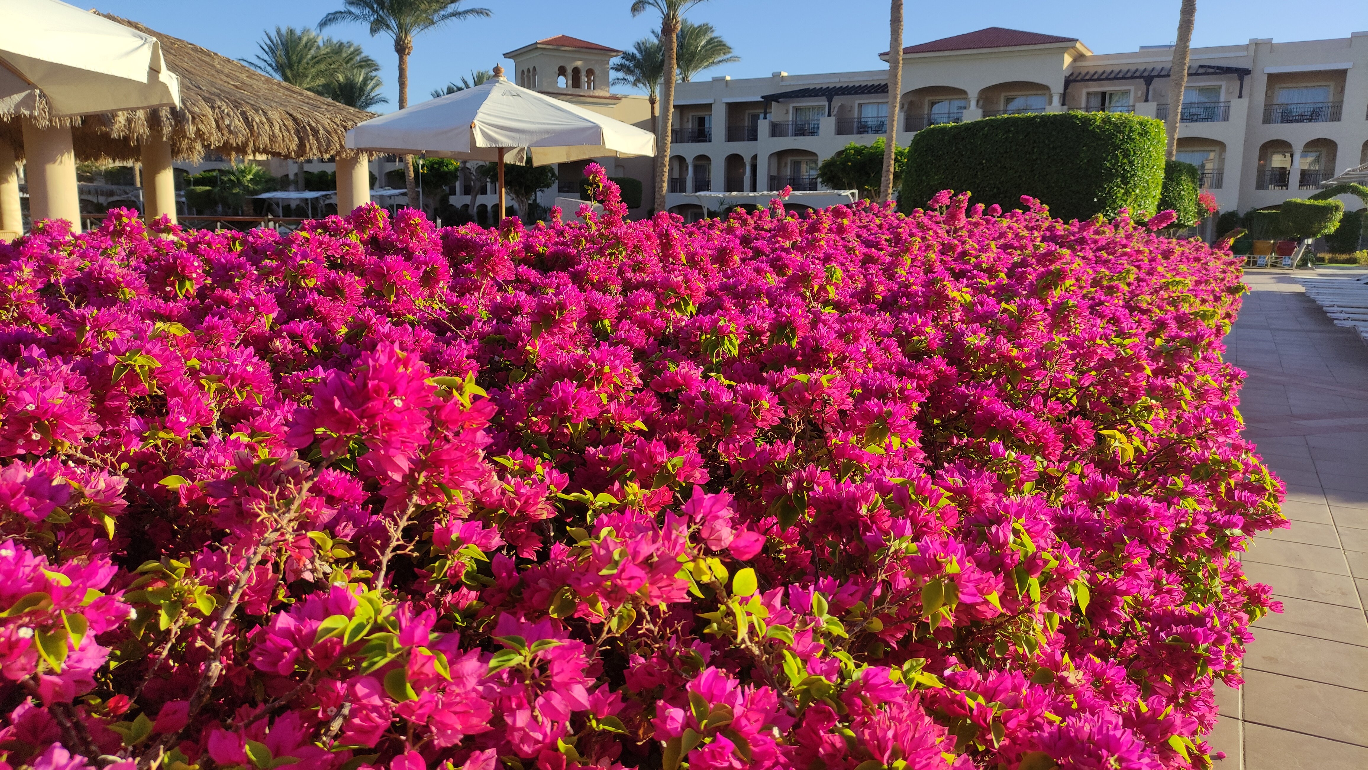 Фото Jaz Mirabel Beach