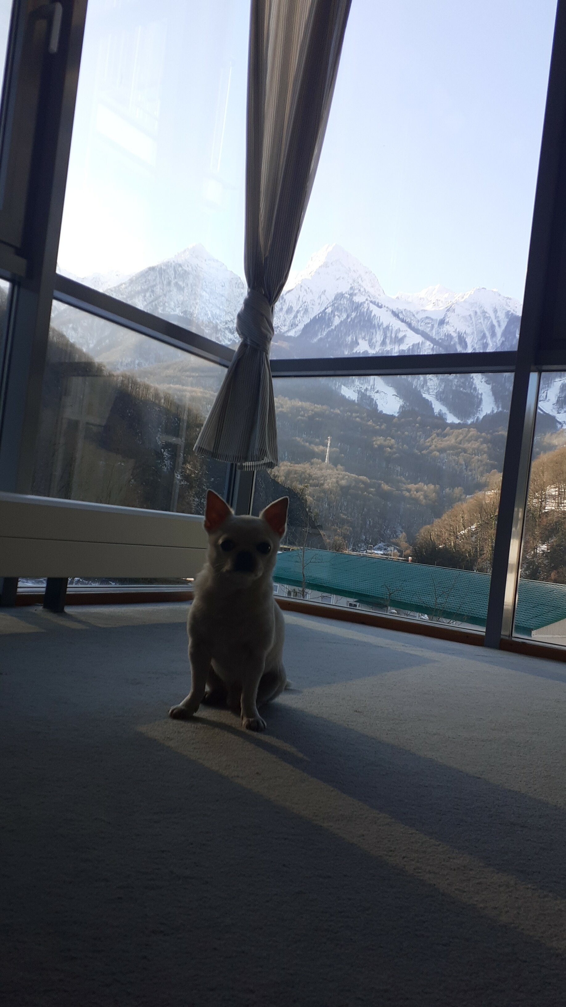 Фото Кристалл