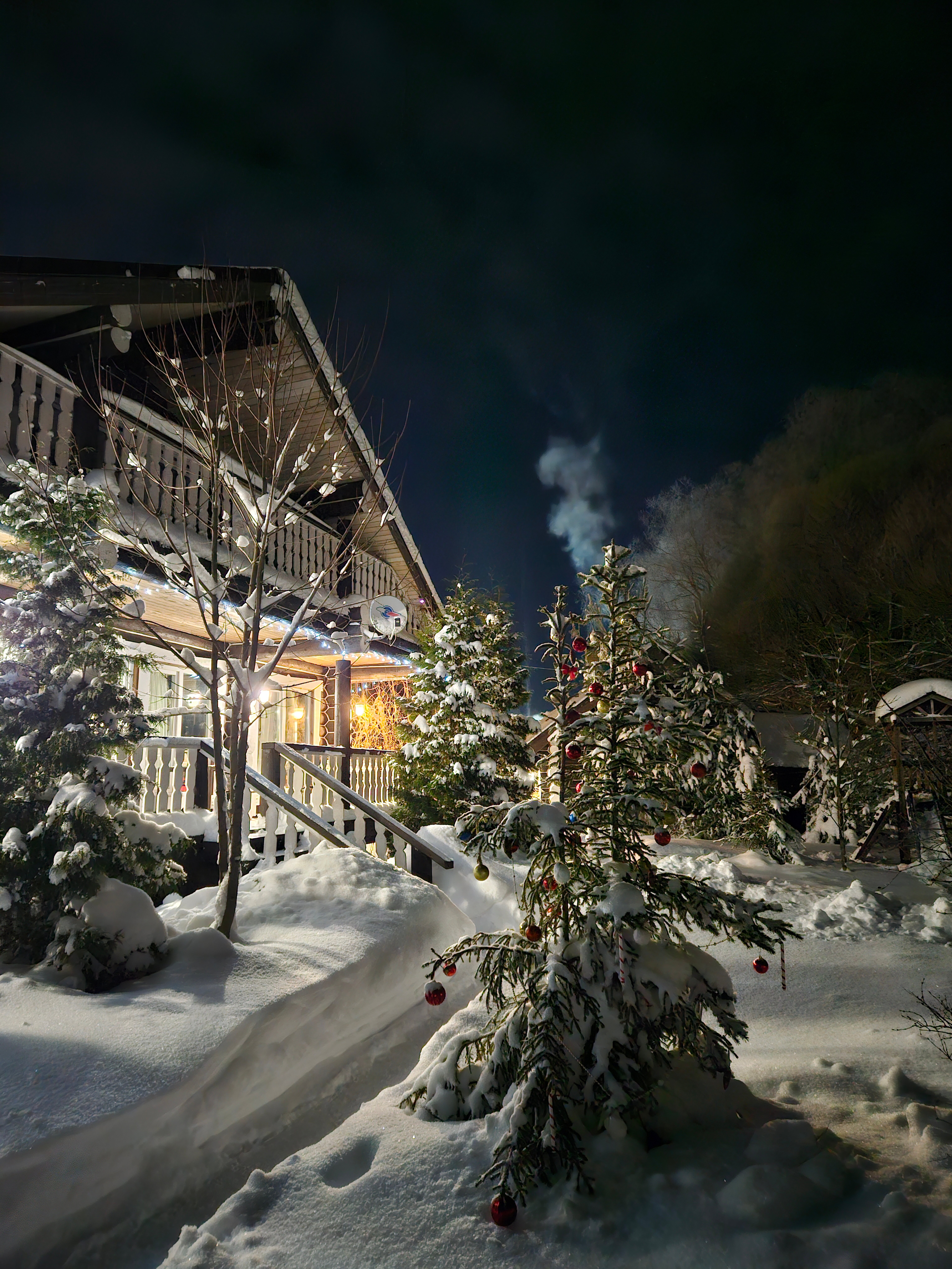 Фото Сорока