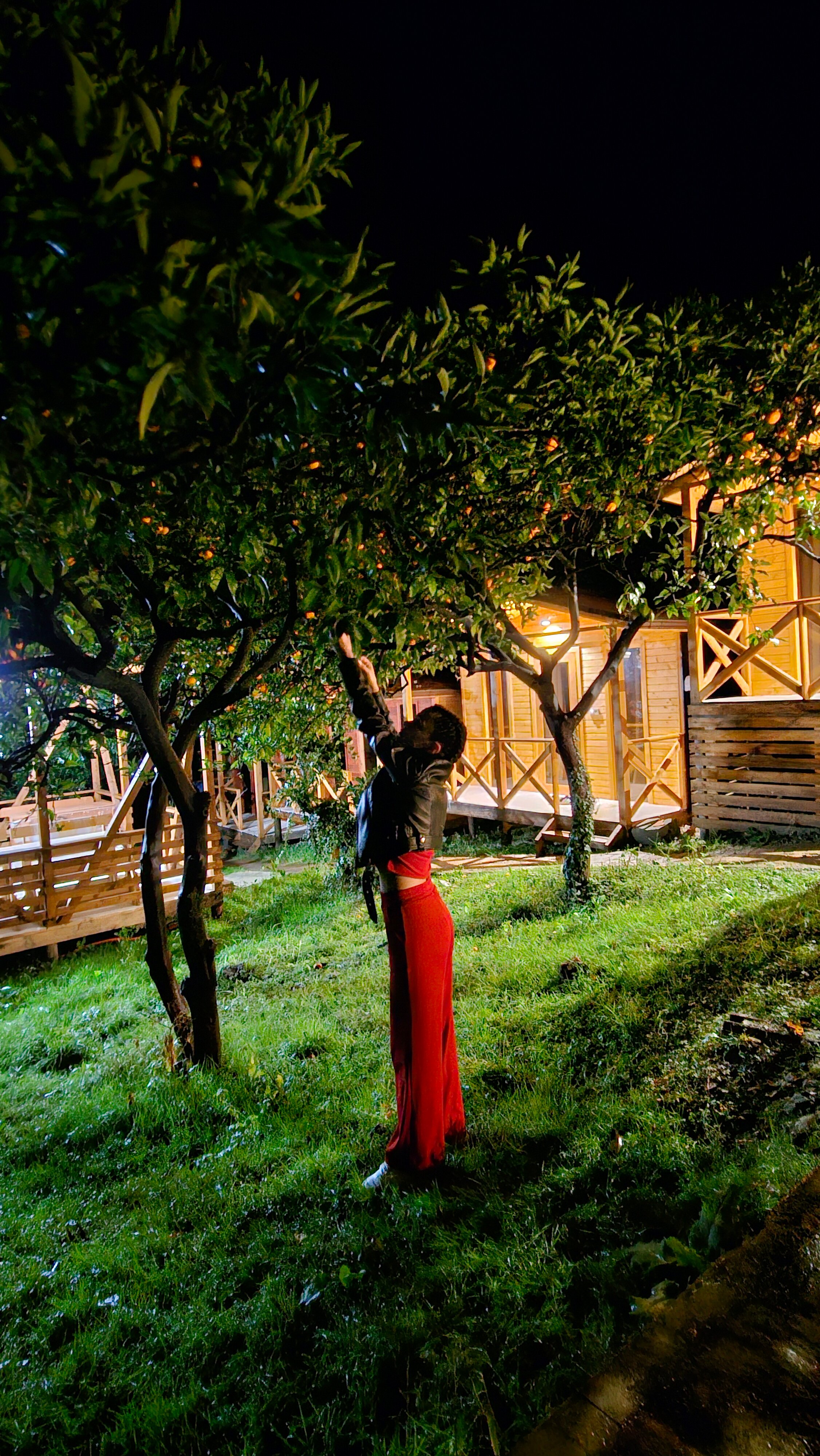 Фото Феникс